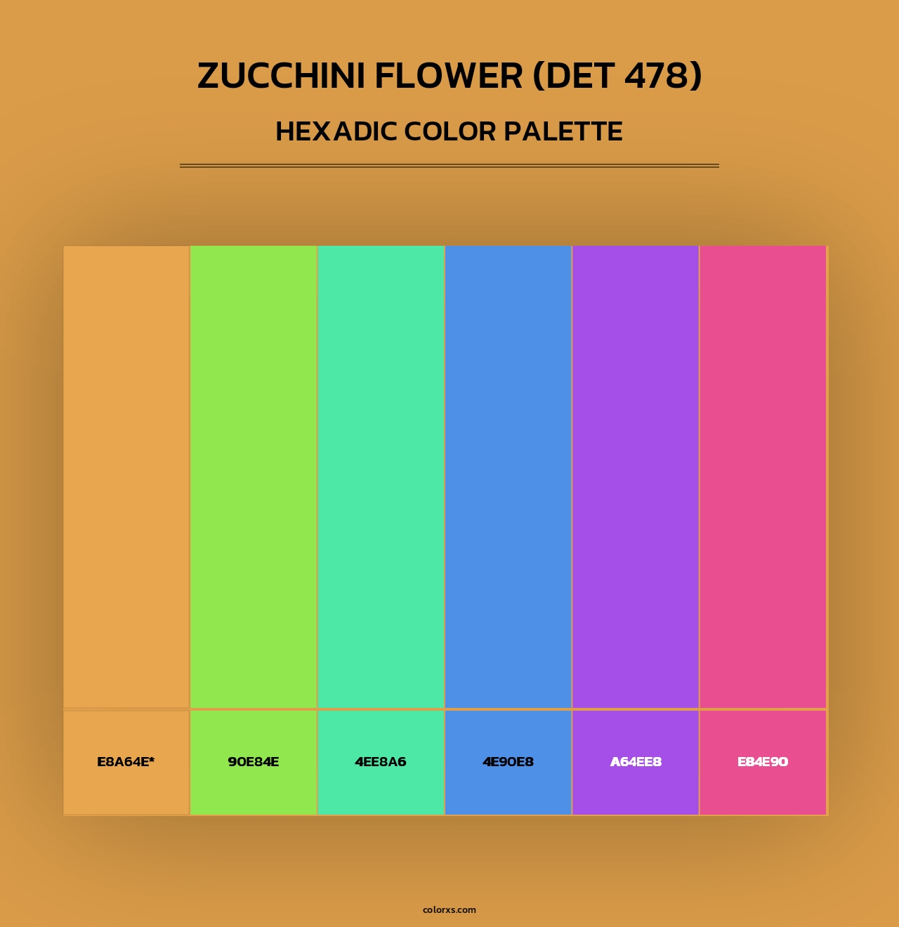 Zucchini Flower (DET 478) - Hexadic Color Palette