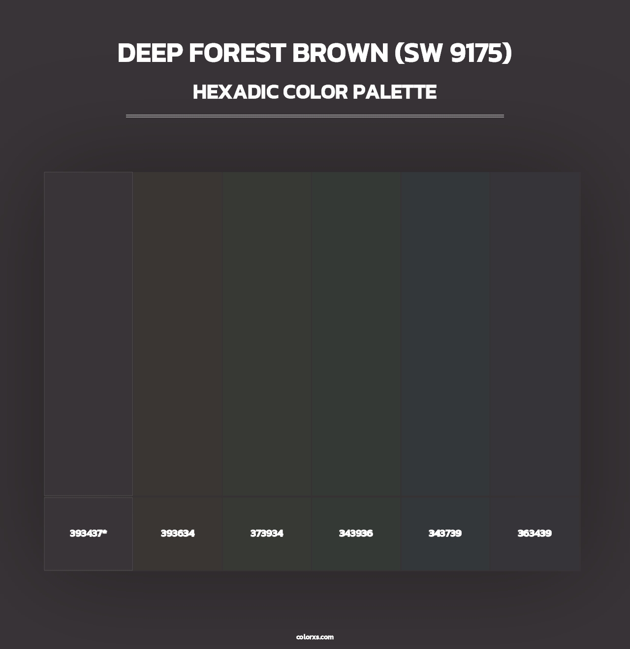 Deep Forest Brown (SW 9175) - Hexadic Color Palette