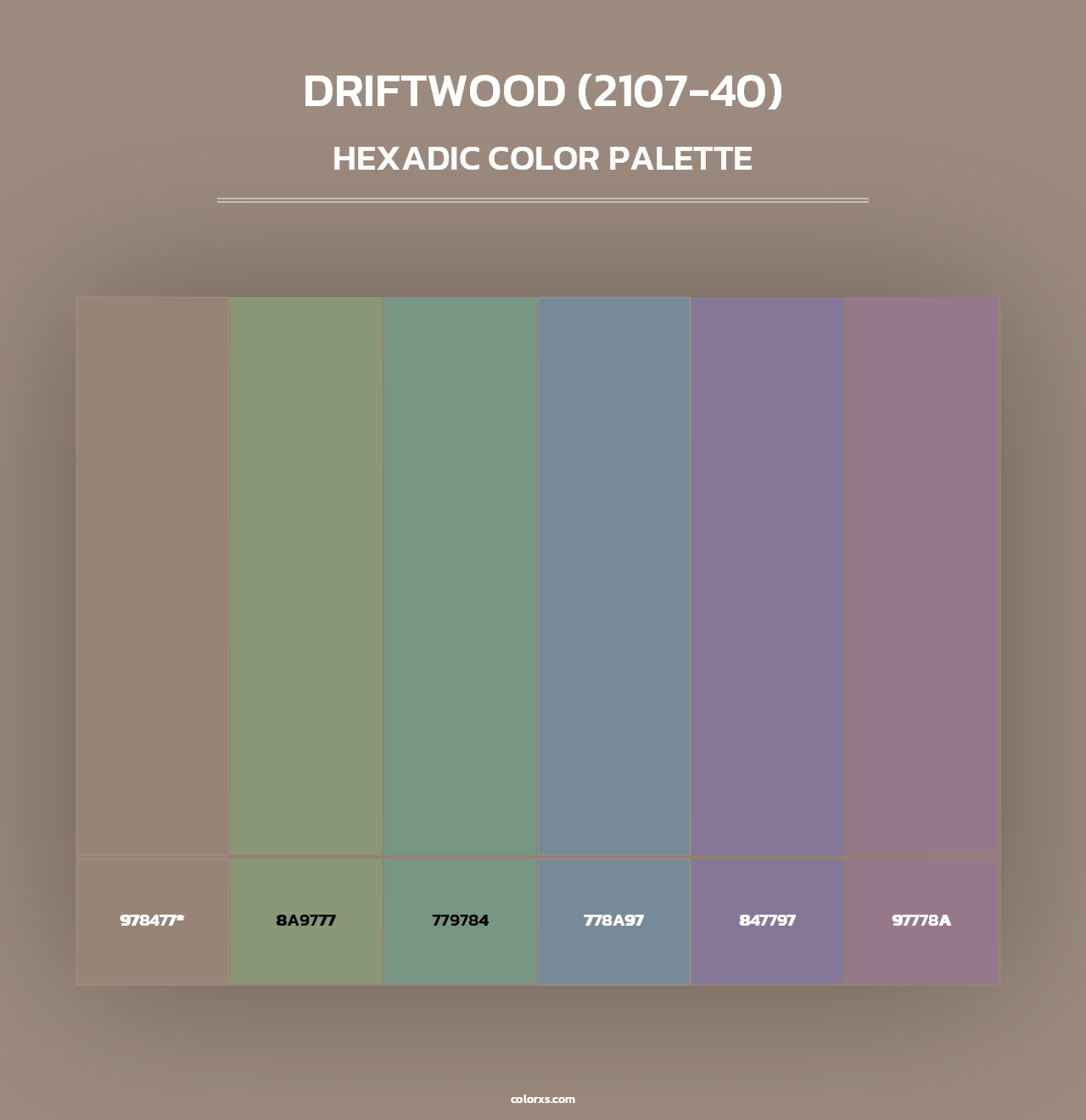 Driftwood (2107-40) - Hexadic Color Palette