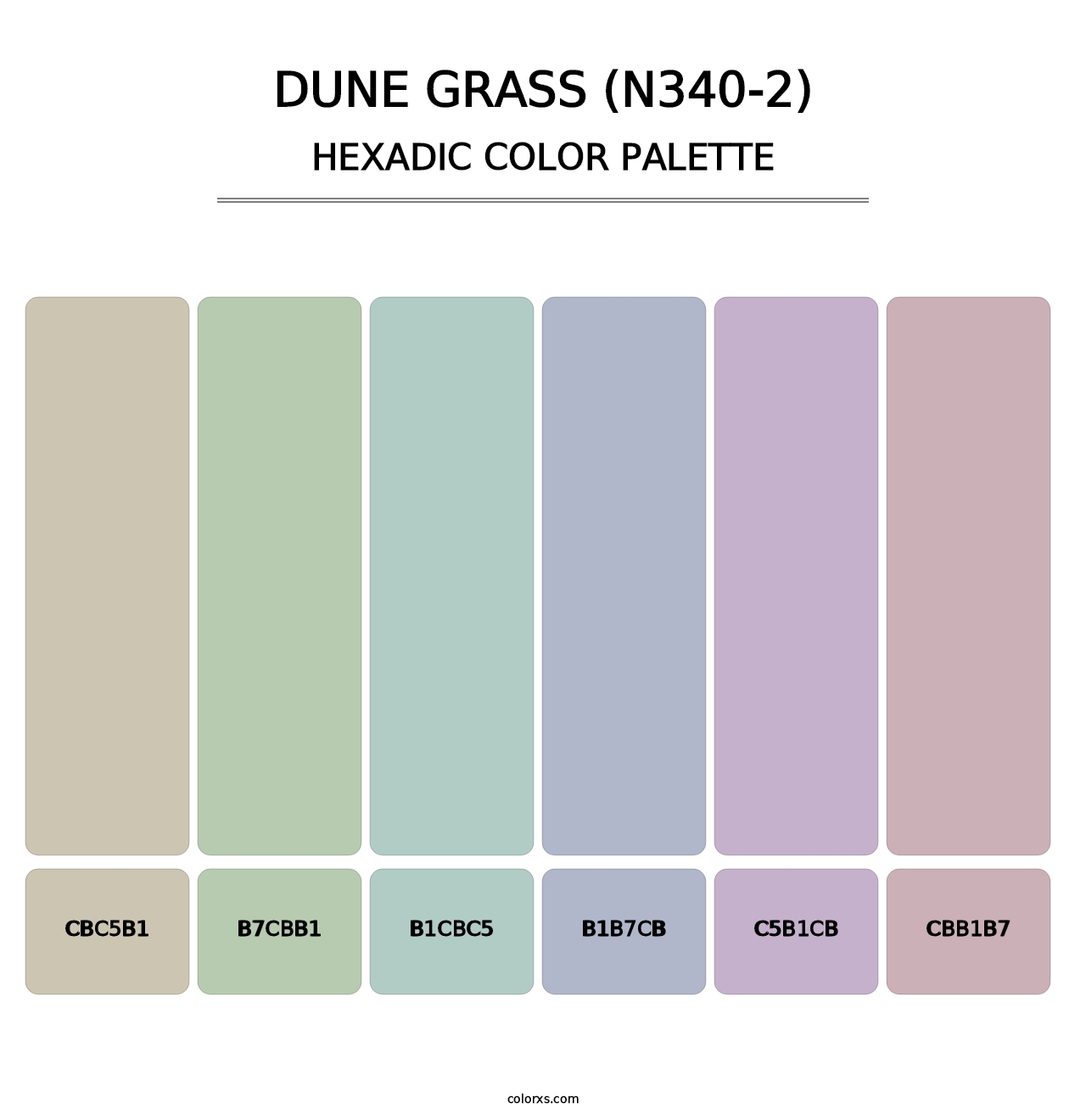 Dune Grass (N340-2) - Hexadic Color Palette