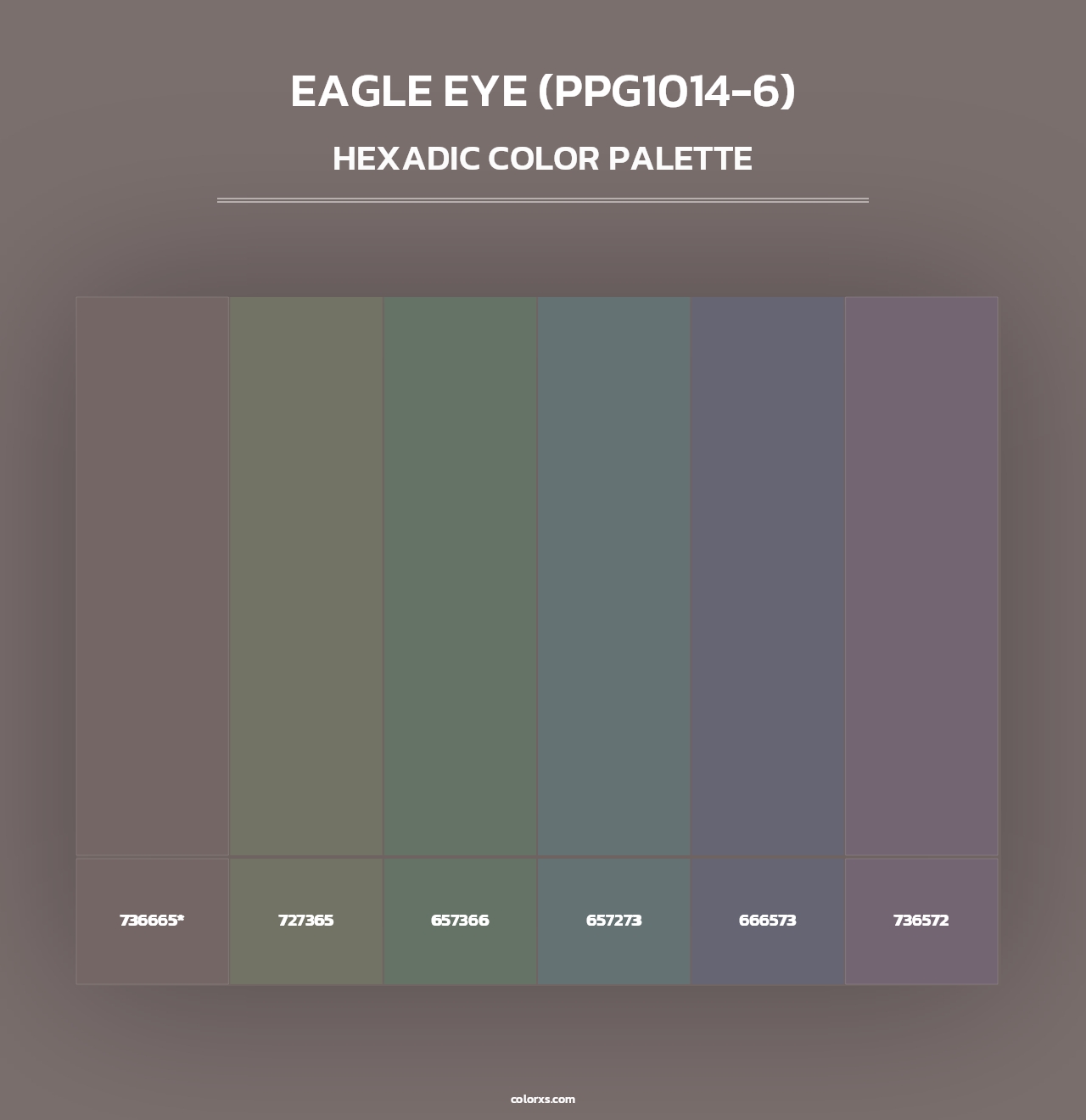 Eagle Eye (PPG1014-6) - Hexadic Color Palette