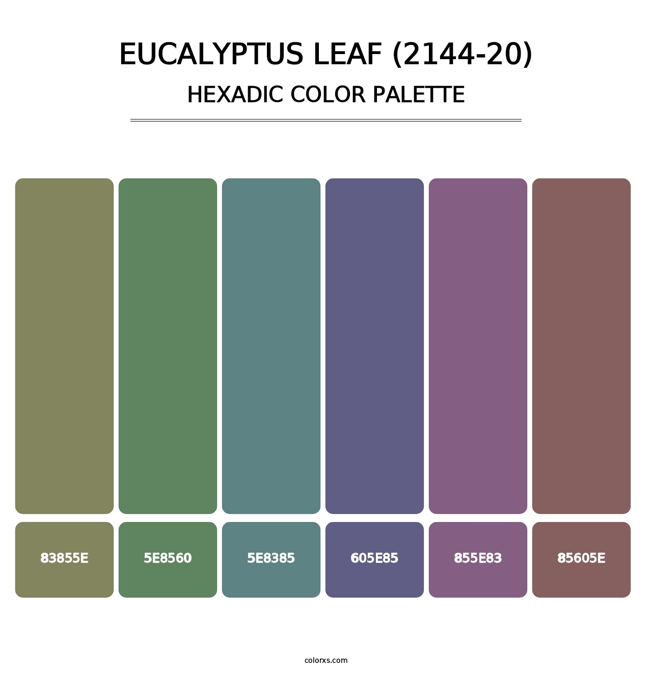 Eucalyptus Leaf (2144-20) - Hexadic Color Palette