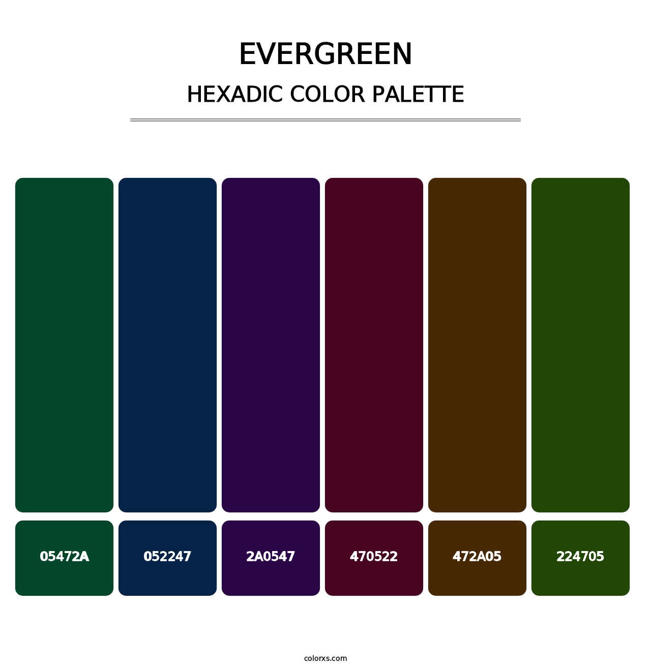 Evergreen - Hexadic Color Palette