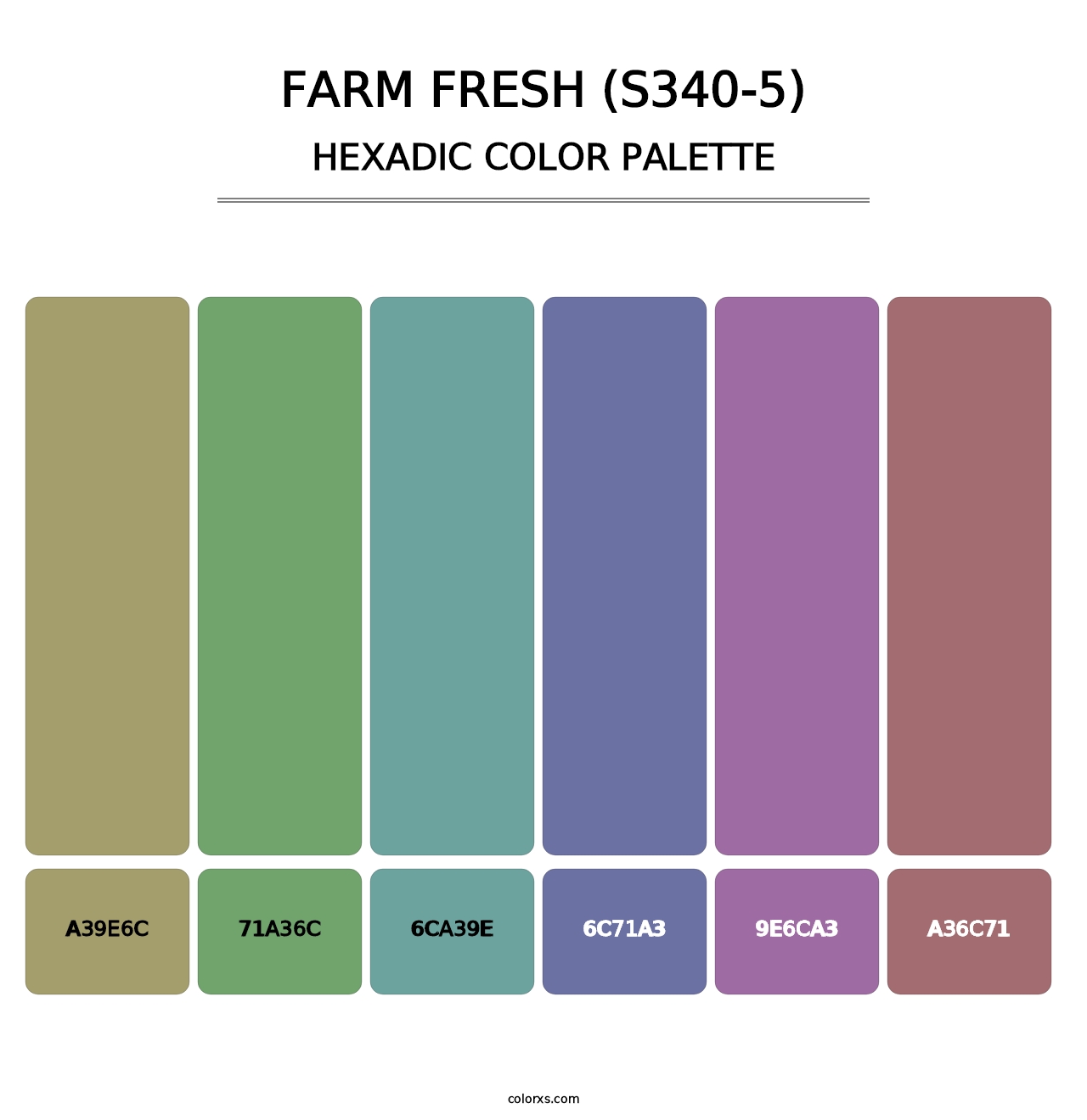 Farm Fresh (S340-5) - Hexadic Color Palette