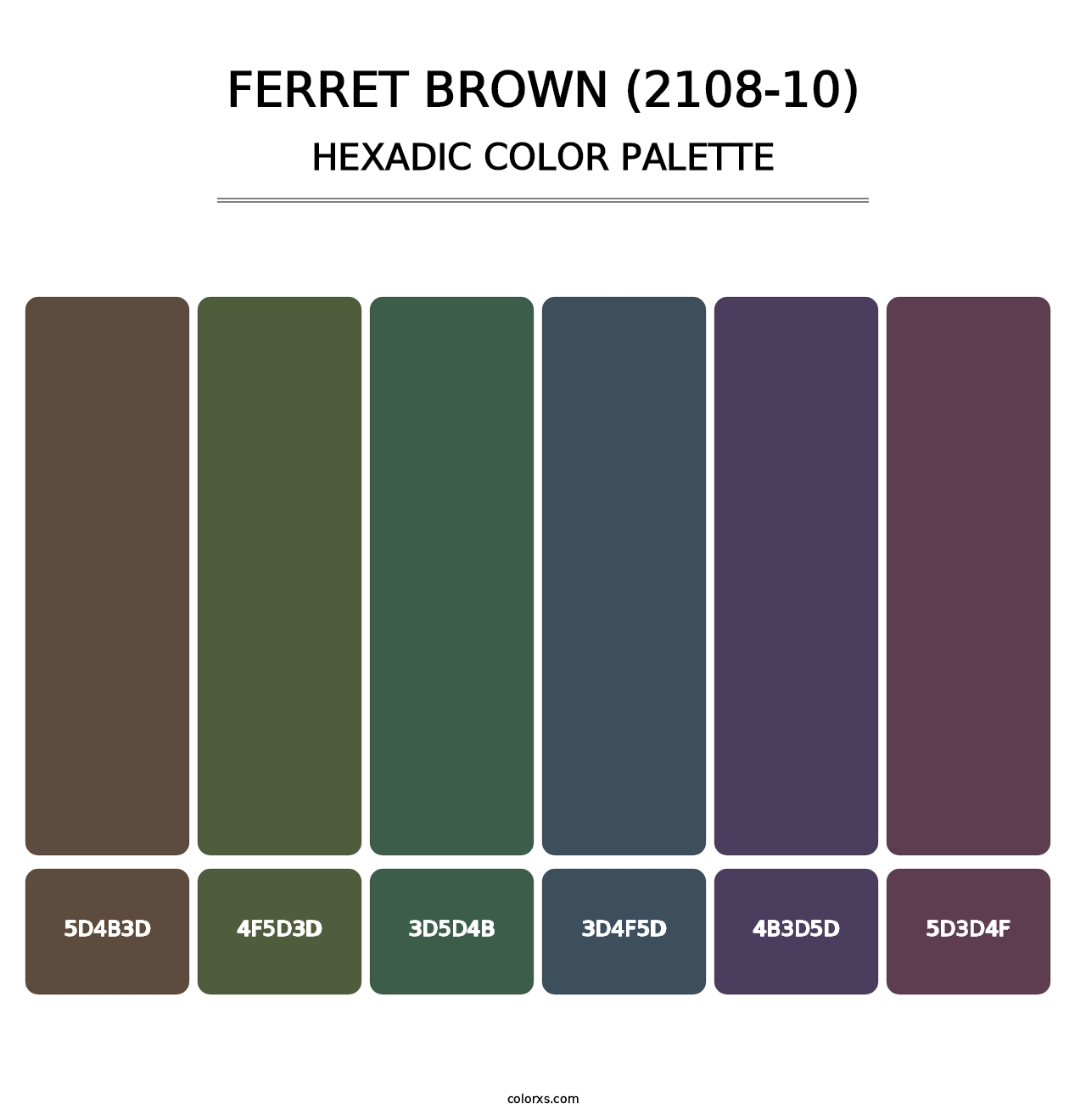 Ferret Brown (2108-10) - Hexadic Color Palette