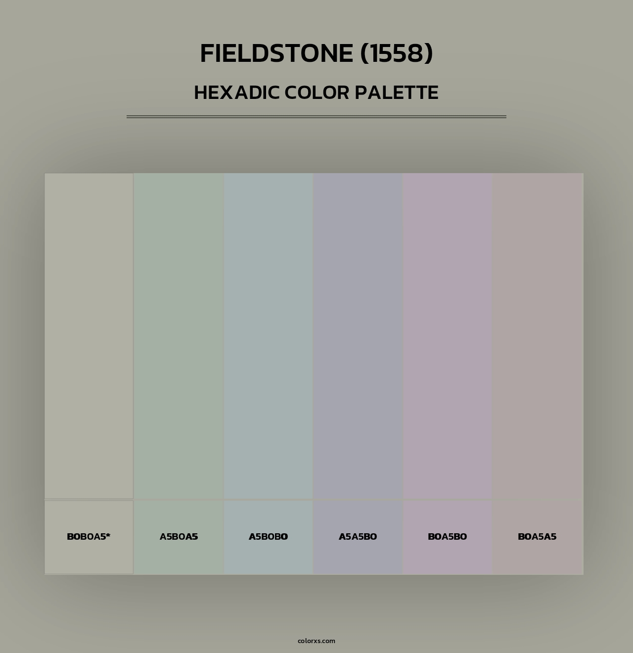 Fieldstone (1558) - Hexadic Color Palette