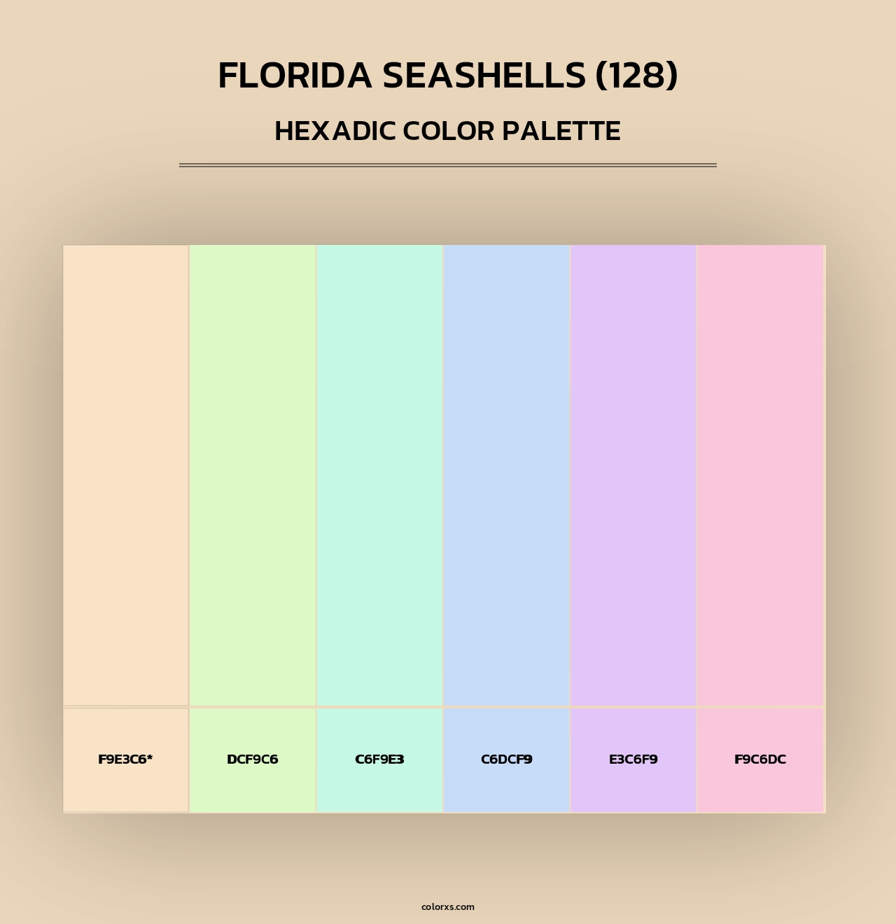 Florida Seashells (128) - Hexadic Color Palette