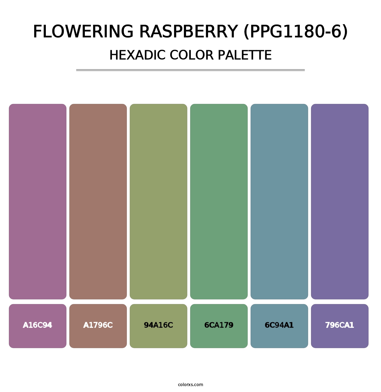 Flowering Raspberry (PPG1180-6) - Hexadic Color Palette