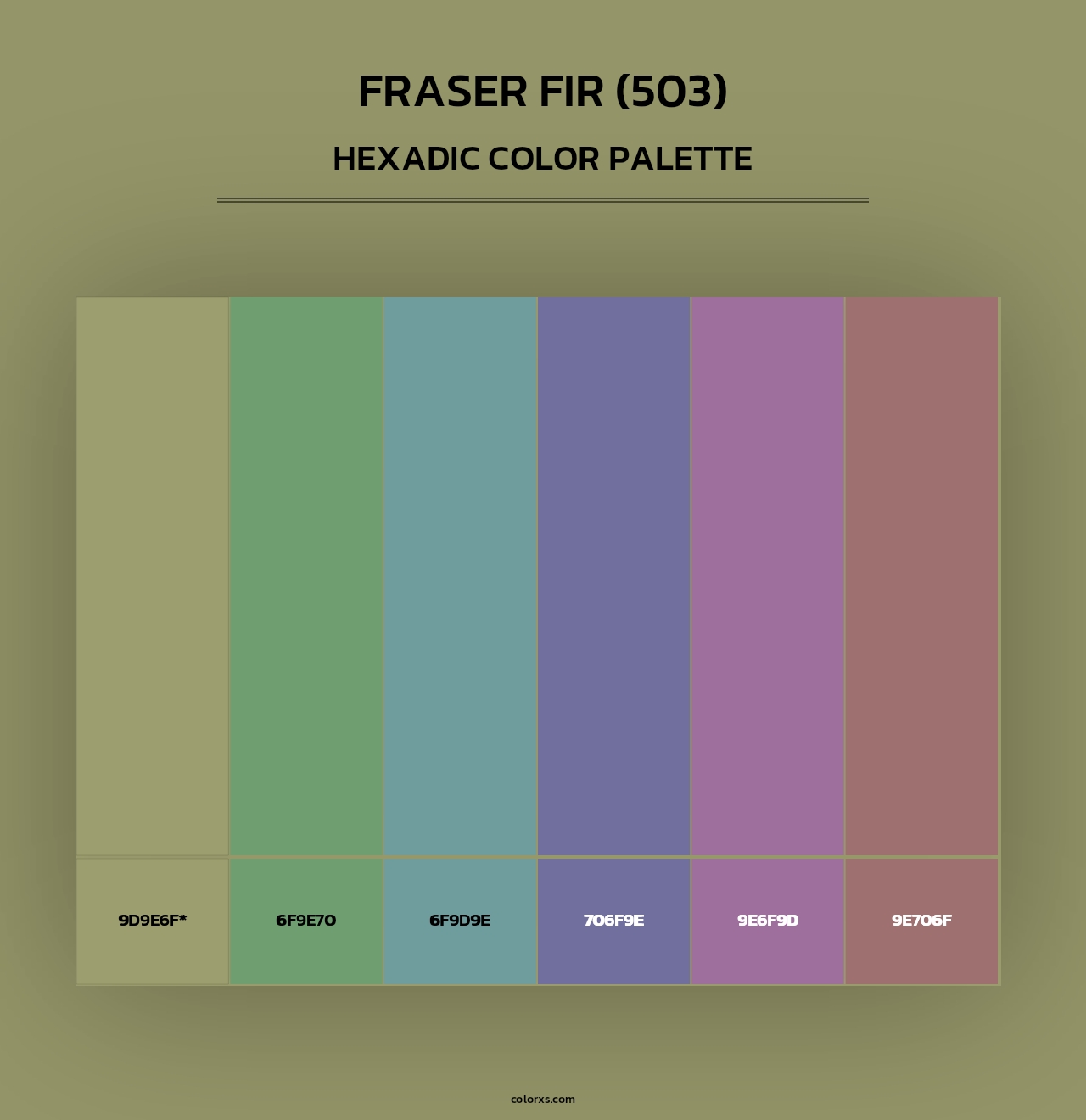 Fraser Fir (503) - Hexadic Color Palette