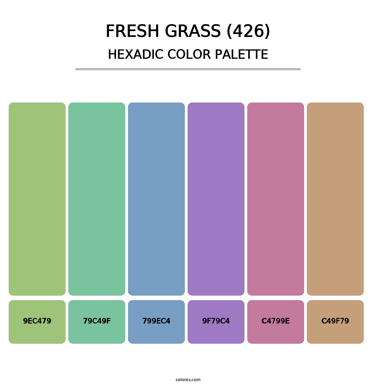 Fresh Grass (426) - Hexadic Color Palette