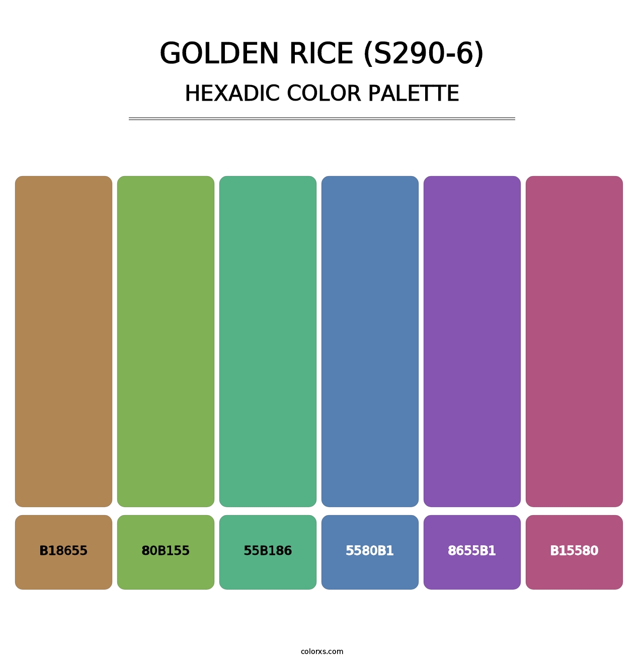 Golden Rice (S290-6) - Hexadic Color Palette
