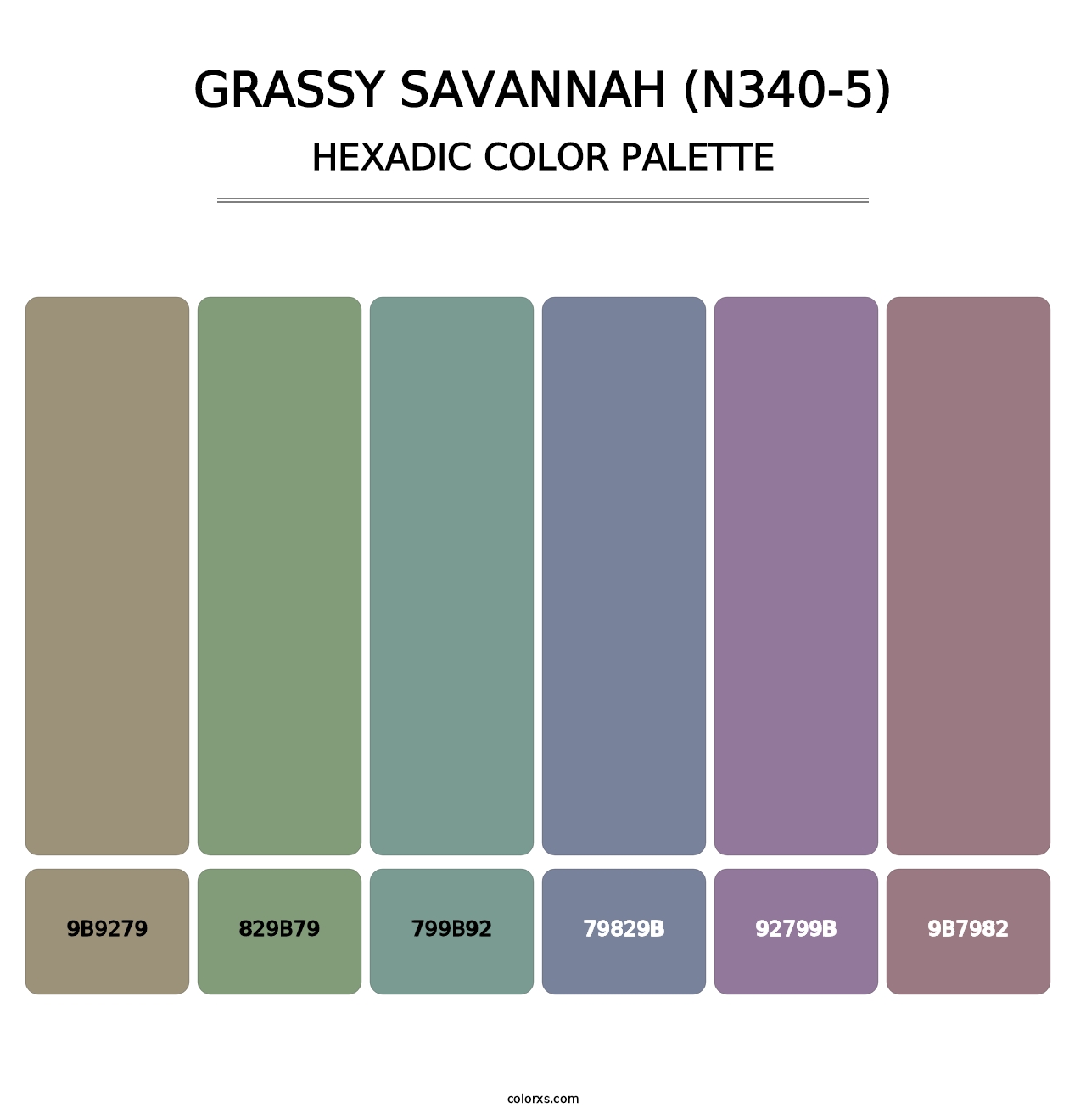 Grassy Savannah (N340-5) - Hexadic Color Palette