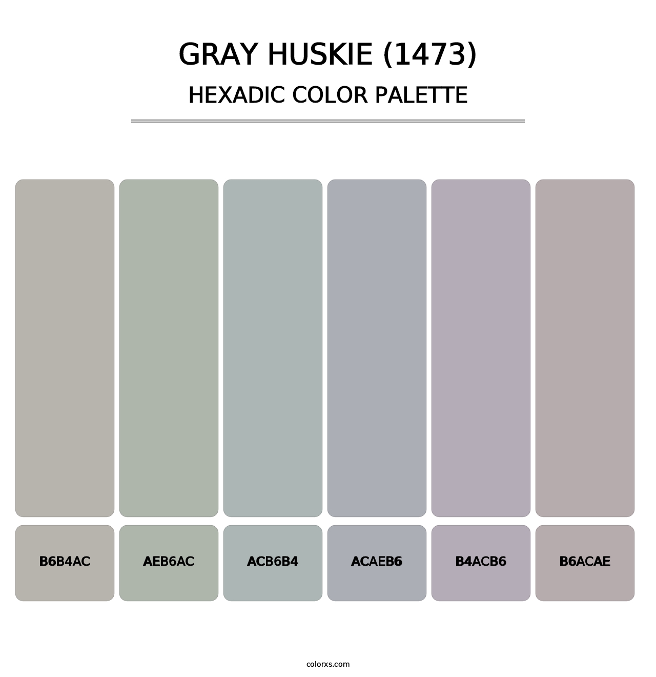 Gray Huskie (1473) - Hexadic Color Palette