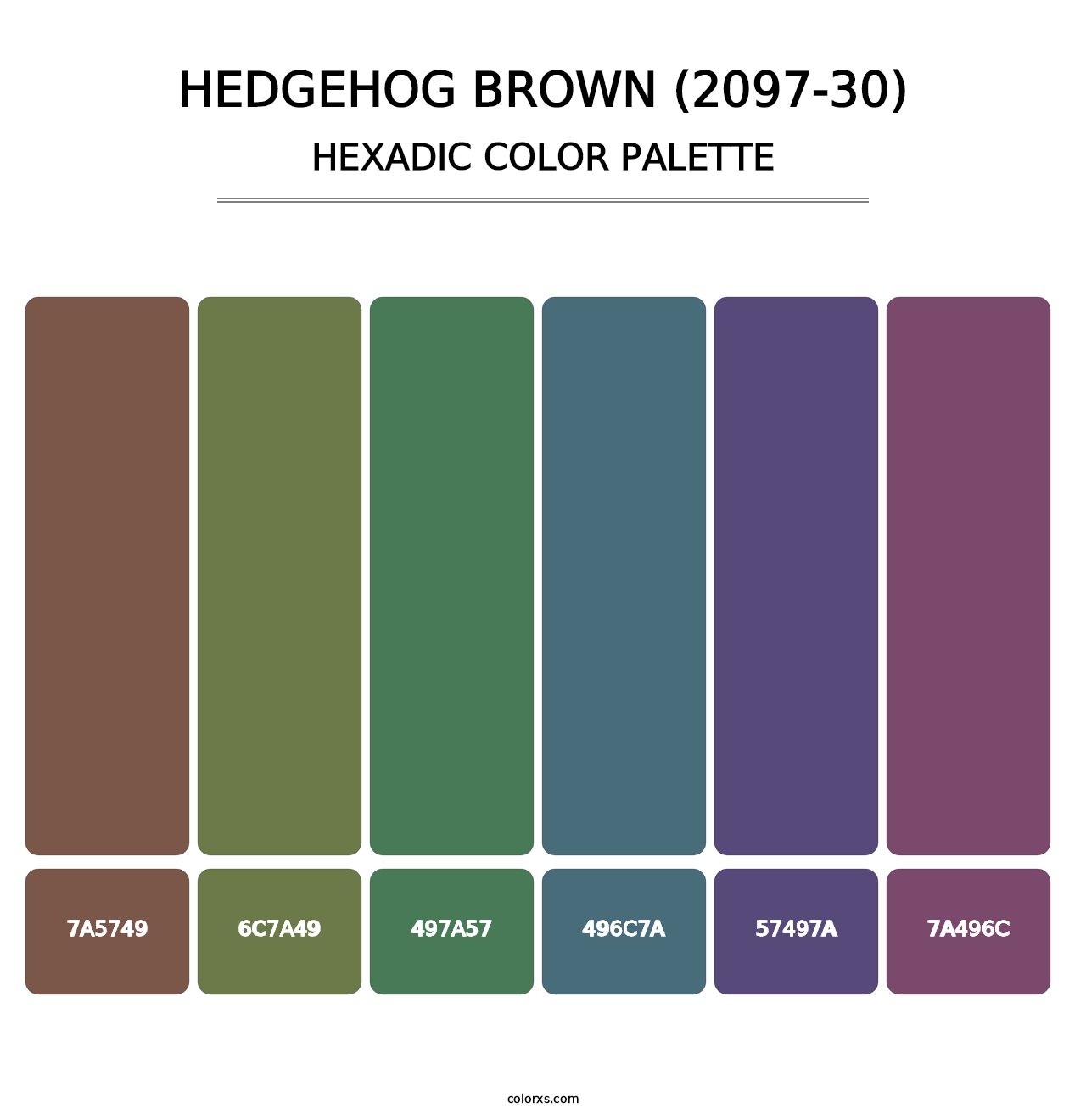 Hedgehog Brown (2097-30) - Hexadic Color Palette