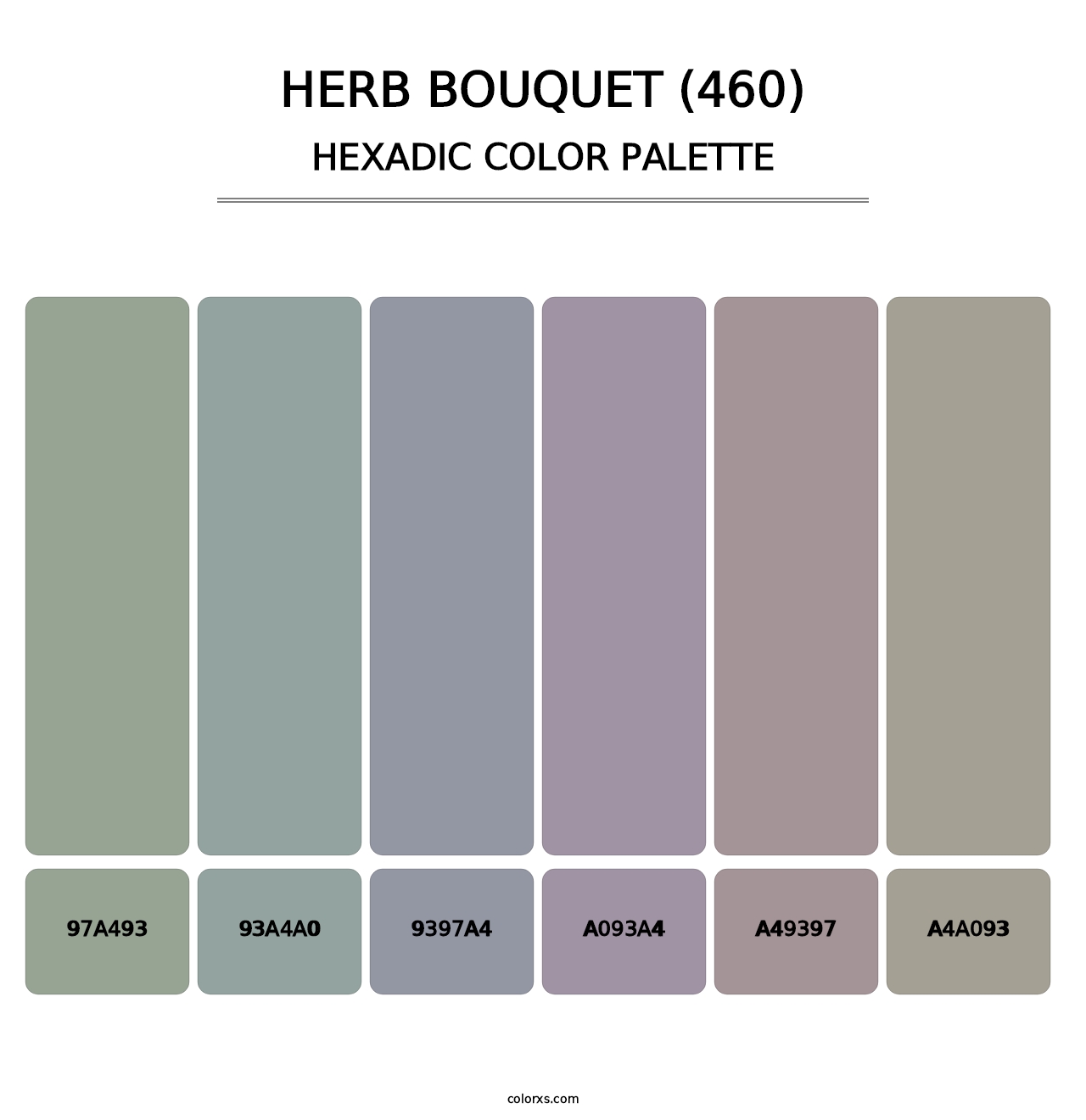 Herb Bouquet (460) - Hexadic Color Palette