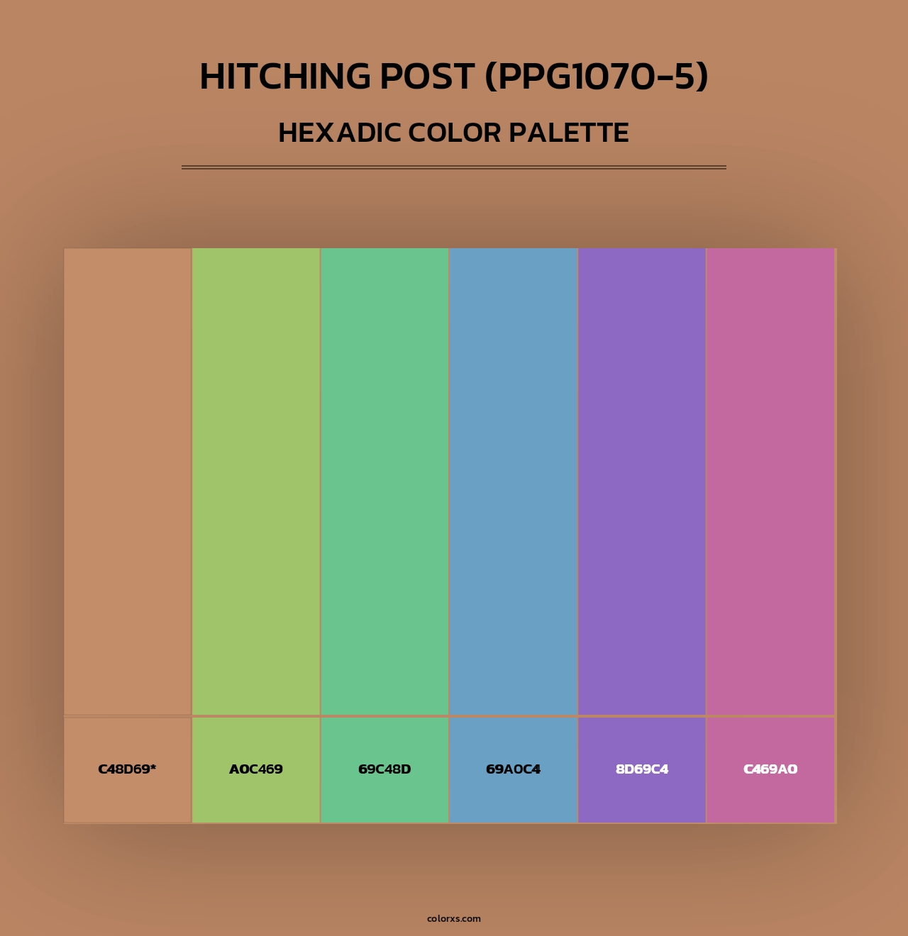 Hitching Post (PPG1070-5) - Hexadic Color Palette
