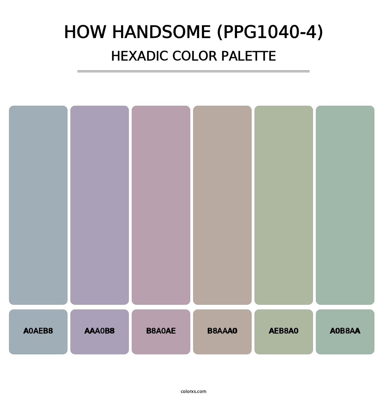 How Handsome (PPG1040-4) - Hexadic Color Palette