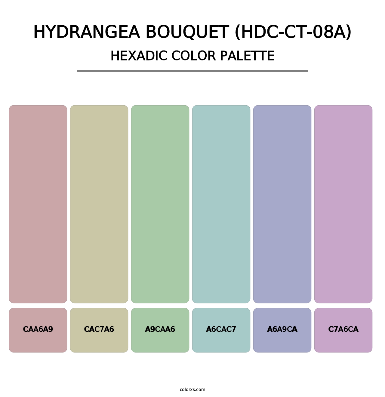 Hydrangea Bouquet (HDC-CT-08A) - Hexadic Color Palette