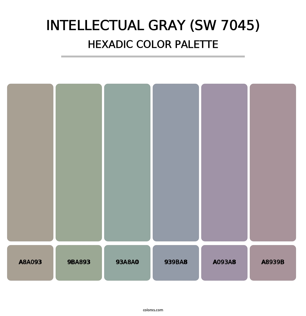 Intellectual Gray (SW 7045) - Hexadic Color Palette