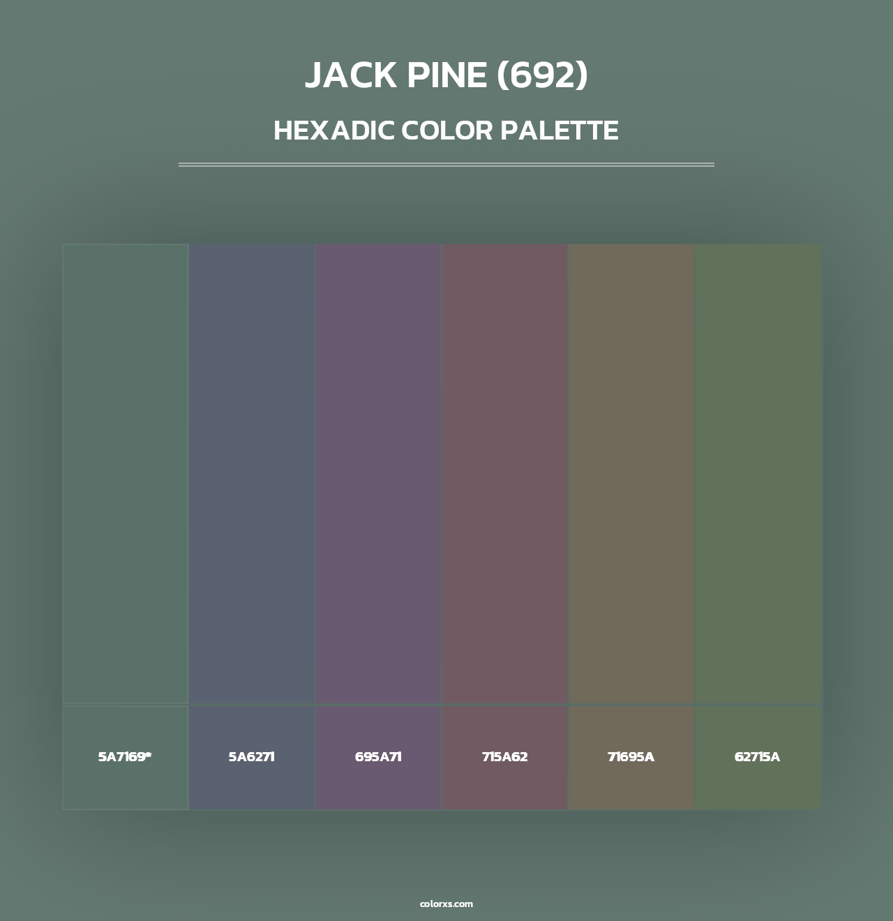 Jack Pine (692) - Hexadic Color Palette