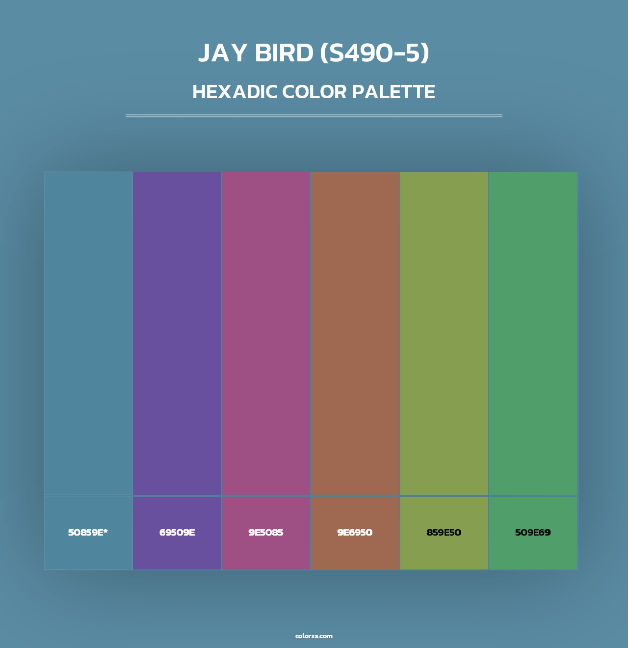 Jay Bird (S490-5) - Hexadic Color Palette