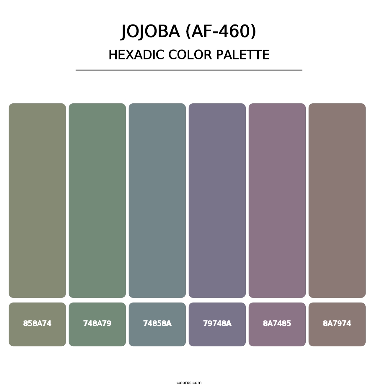 Jojoba (AF-460) - Hexadic Color Palette