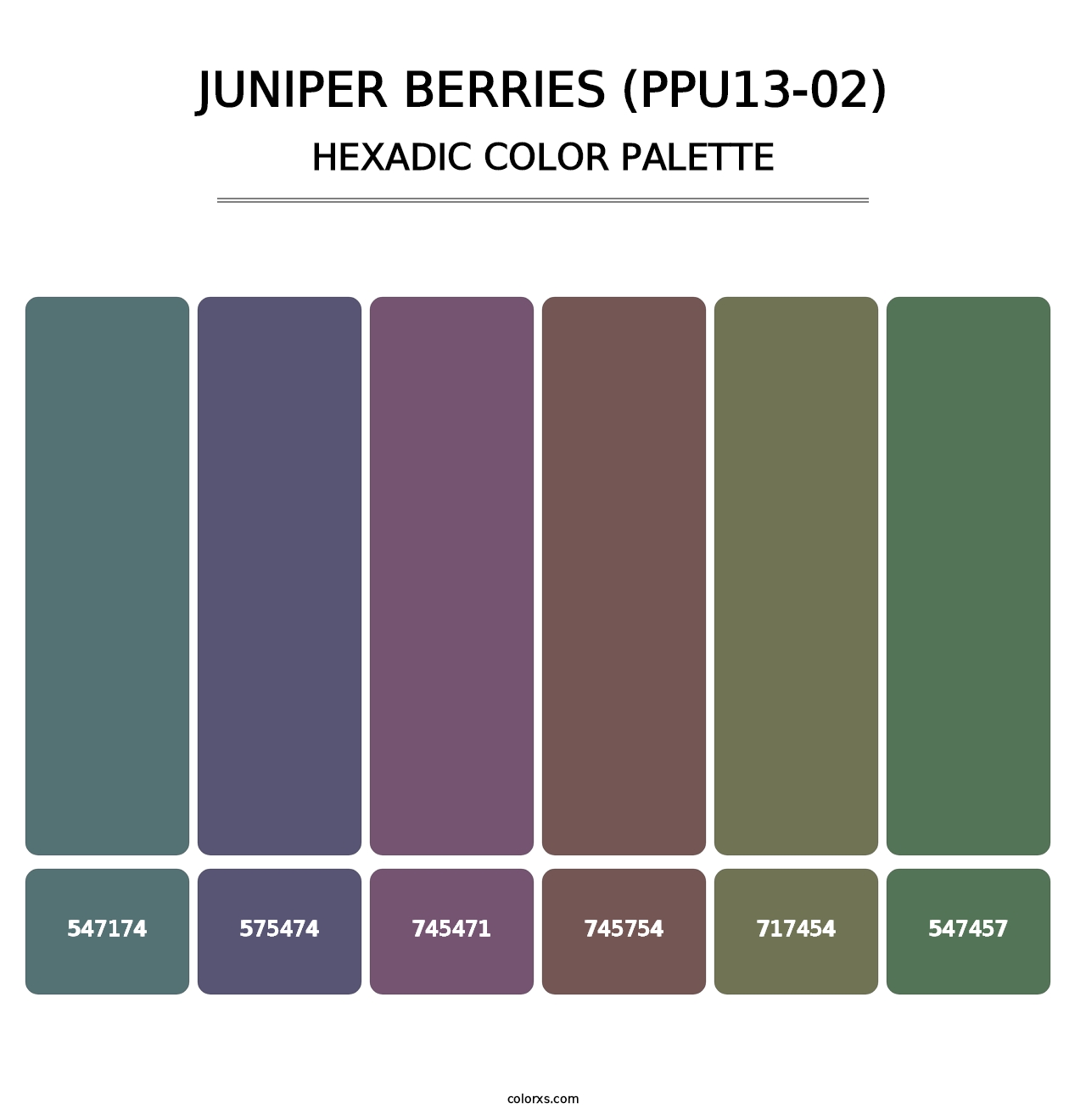 Juniper Berries (PPU13-02) - Hexadic Color Palette