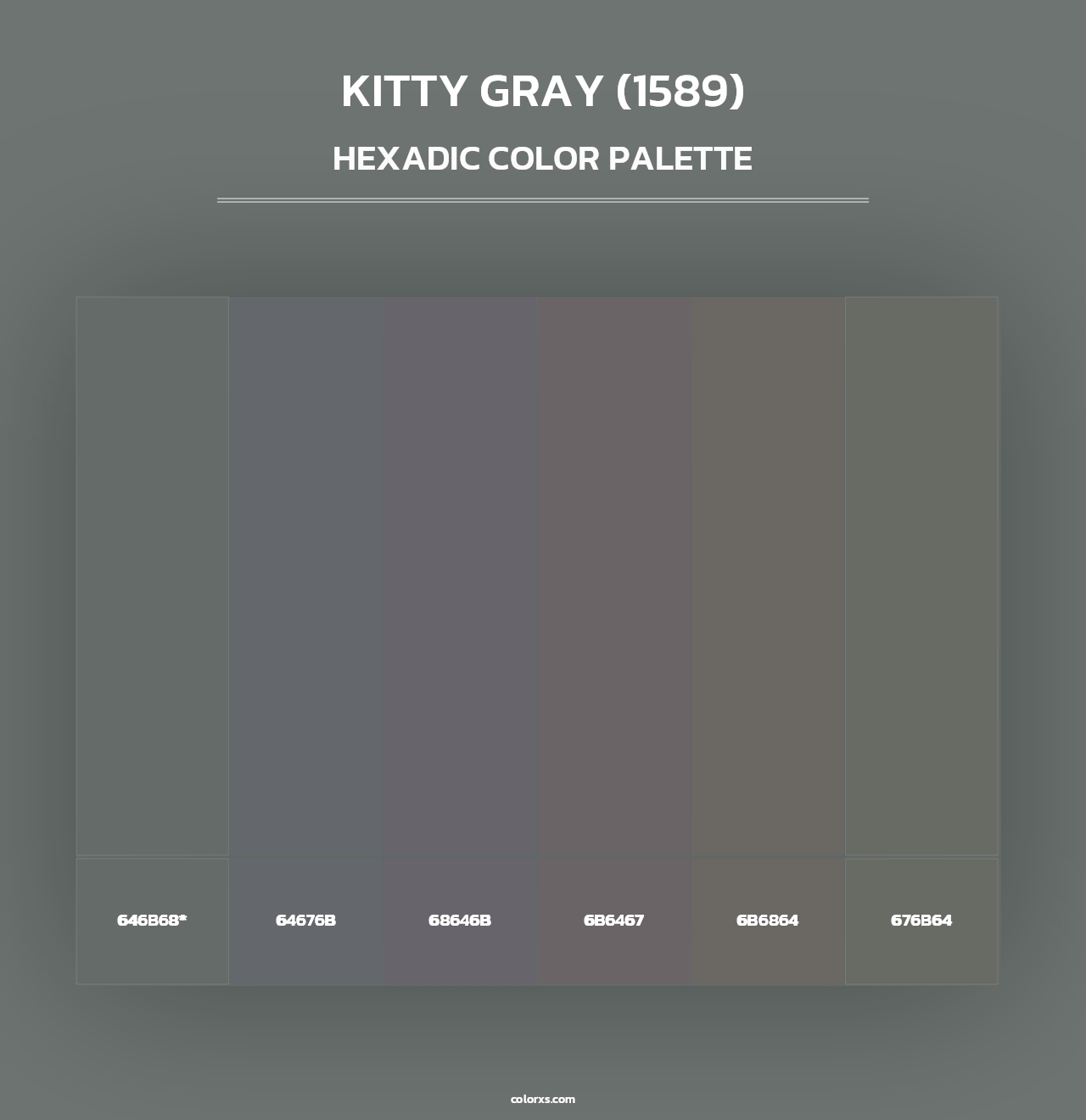 Kitty Gray (1589) - Hexadic Color Palette