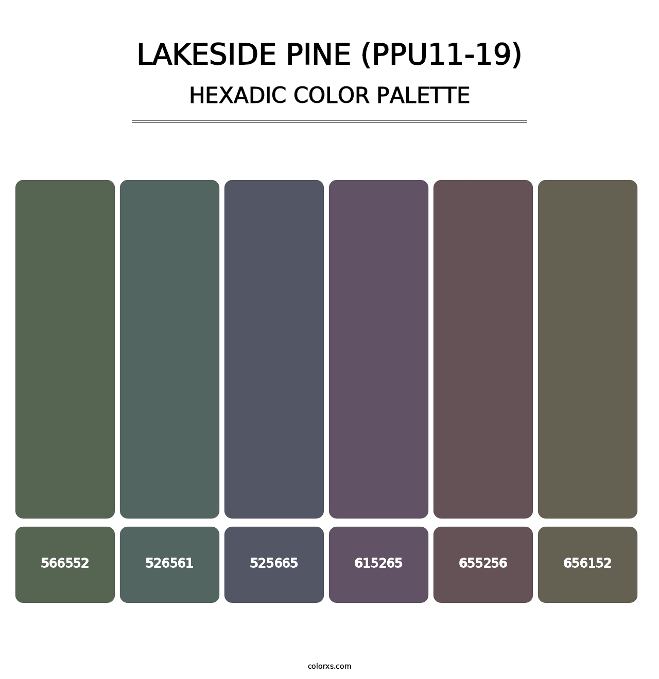 Lakeside Pine (PPU11-19) - Hexadic Color Palette