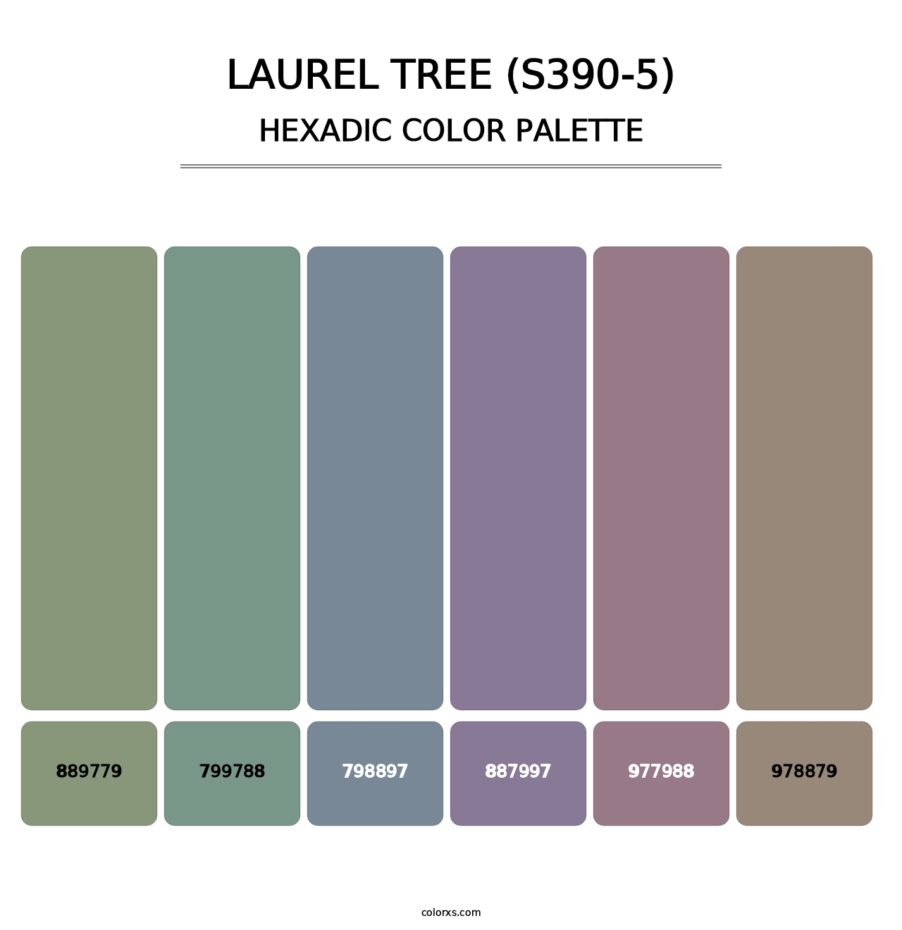 Laurel Tree (S390-5) - Hexadic Color Palette