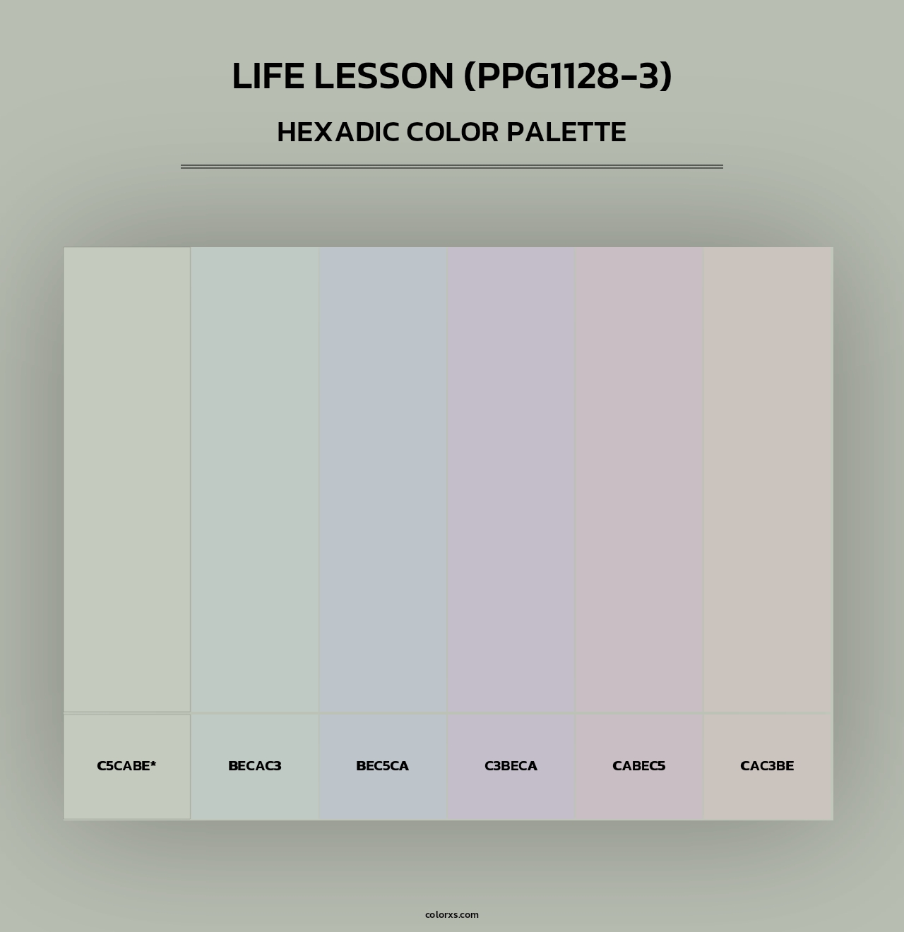 Life Lesson (PPG1128-3) - Hexadic Color Palette