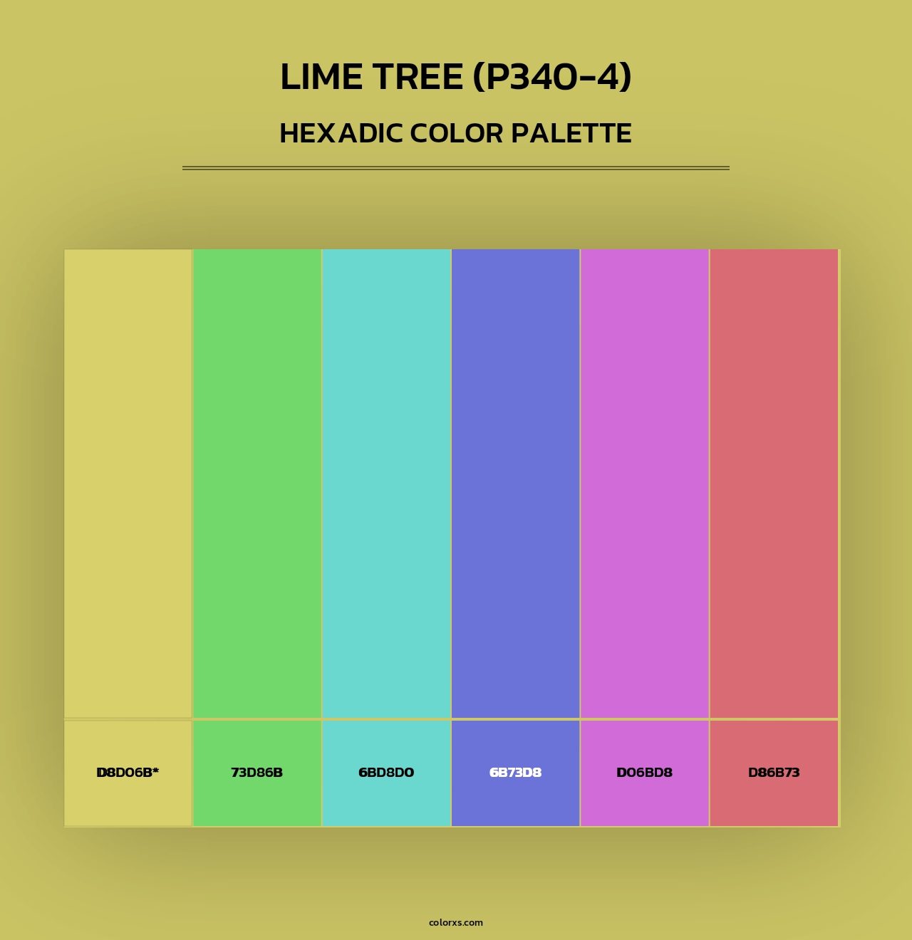 Lime Tree (P340-4) - Hexadic Color Palette