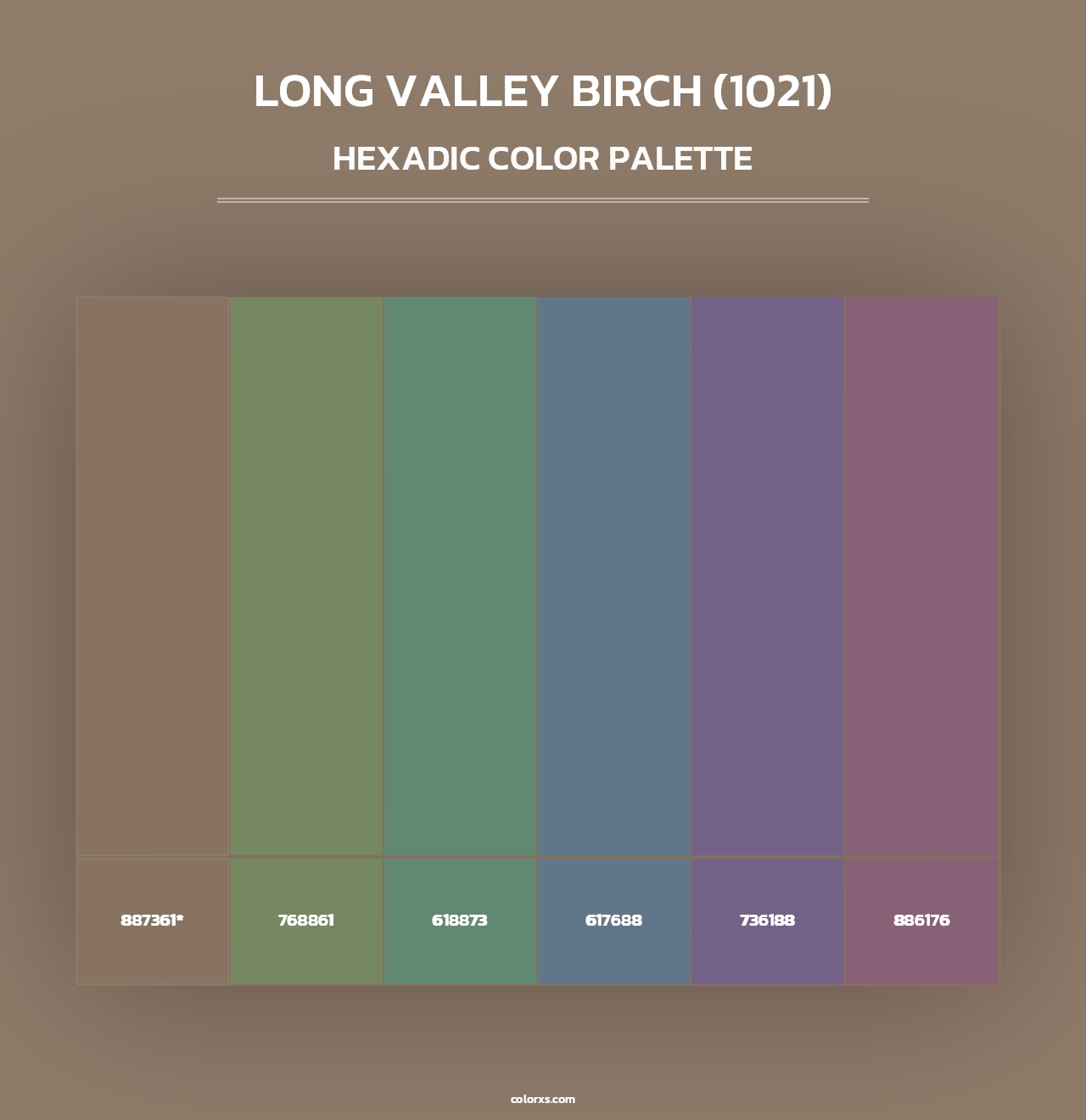 Long Valley Birch (1021) - Hexadic Color Palette