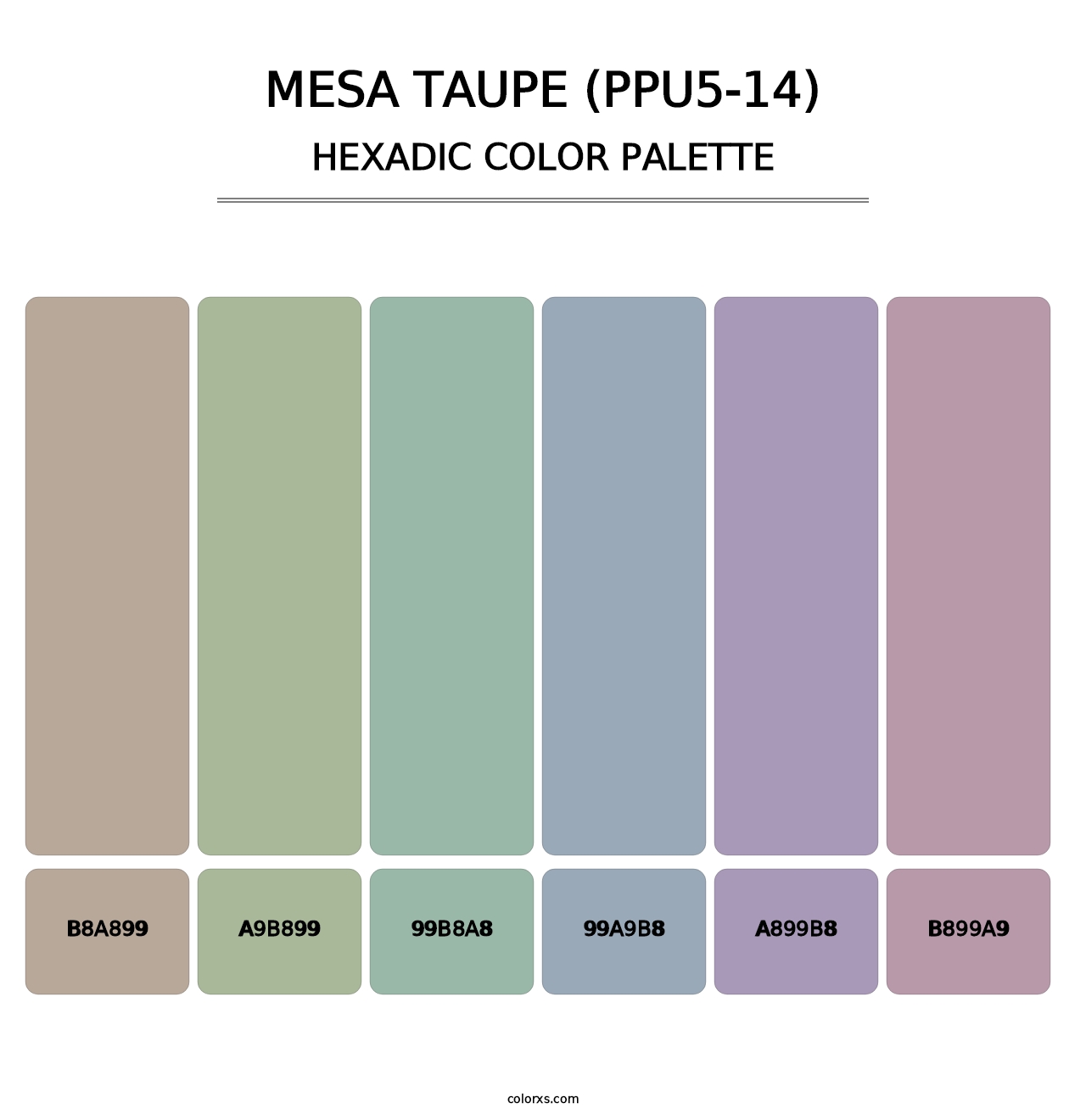 Mesa Taupe (PPU5-14) - Hexadic Color Palette