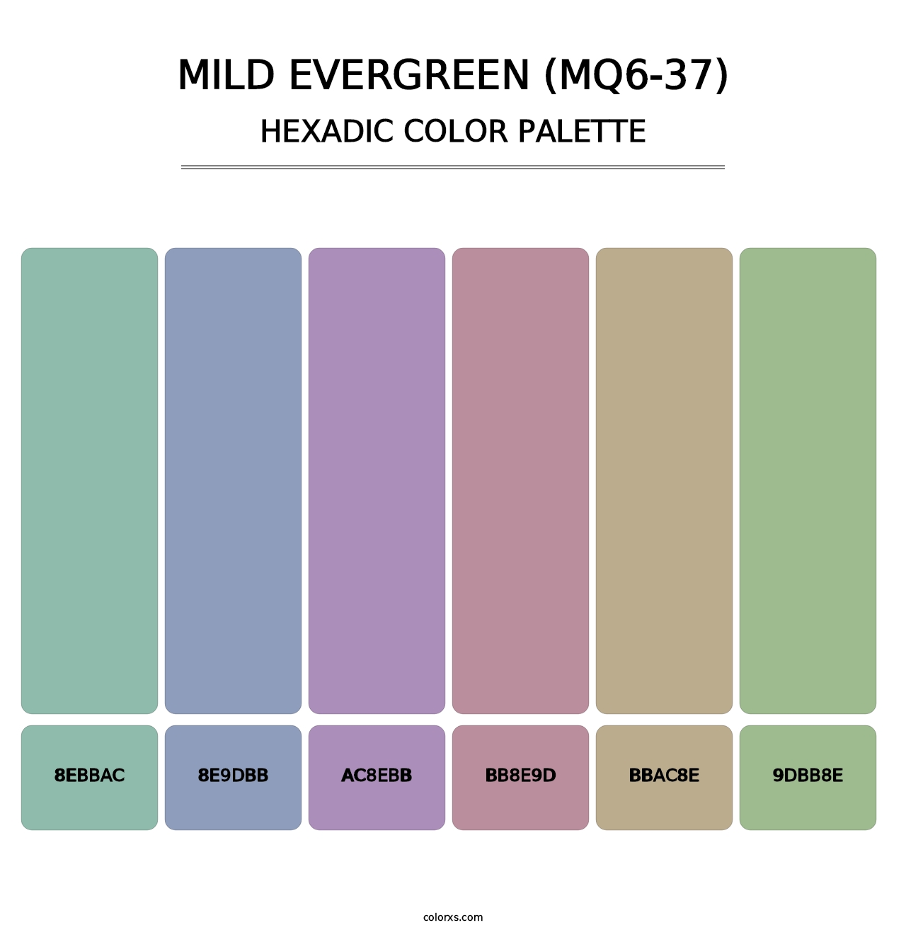 Mild Evergreen (MQ6-37) - Hexadic Color Palette