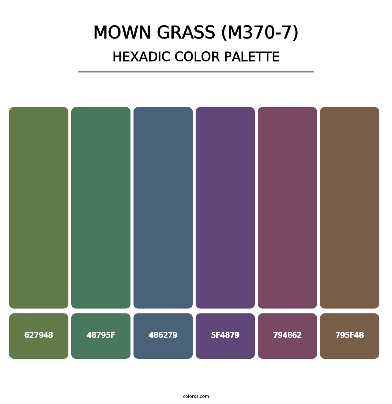 Mown Grass (M370-7) - Hexadic Color Palette
