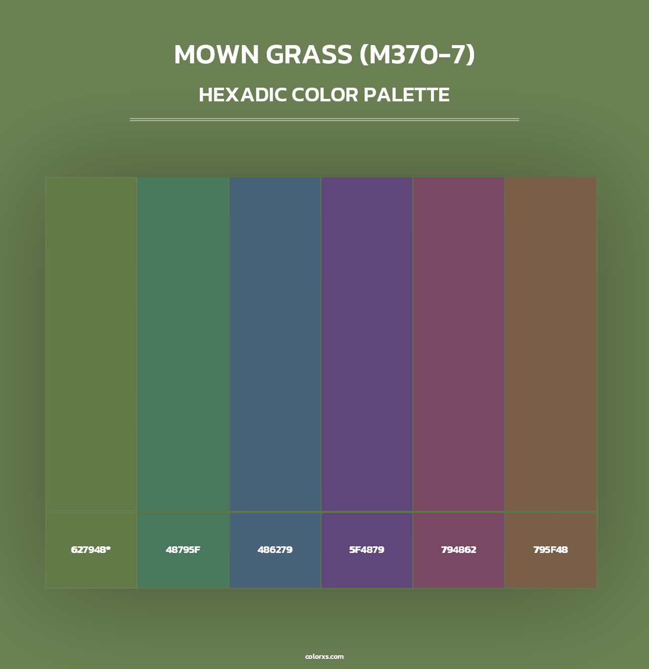 Mown Grass (M370-7) - Hexadic Color Palette