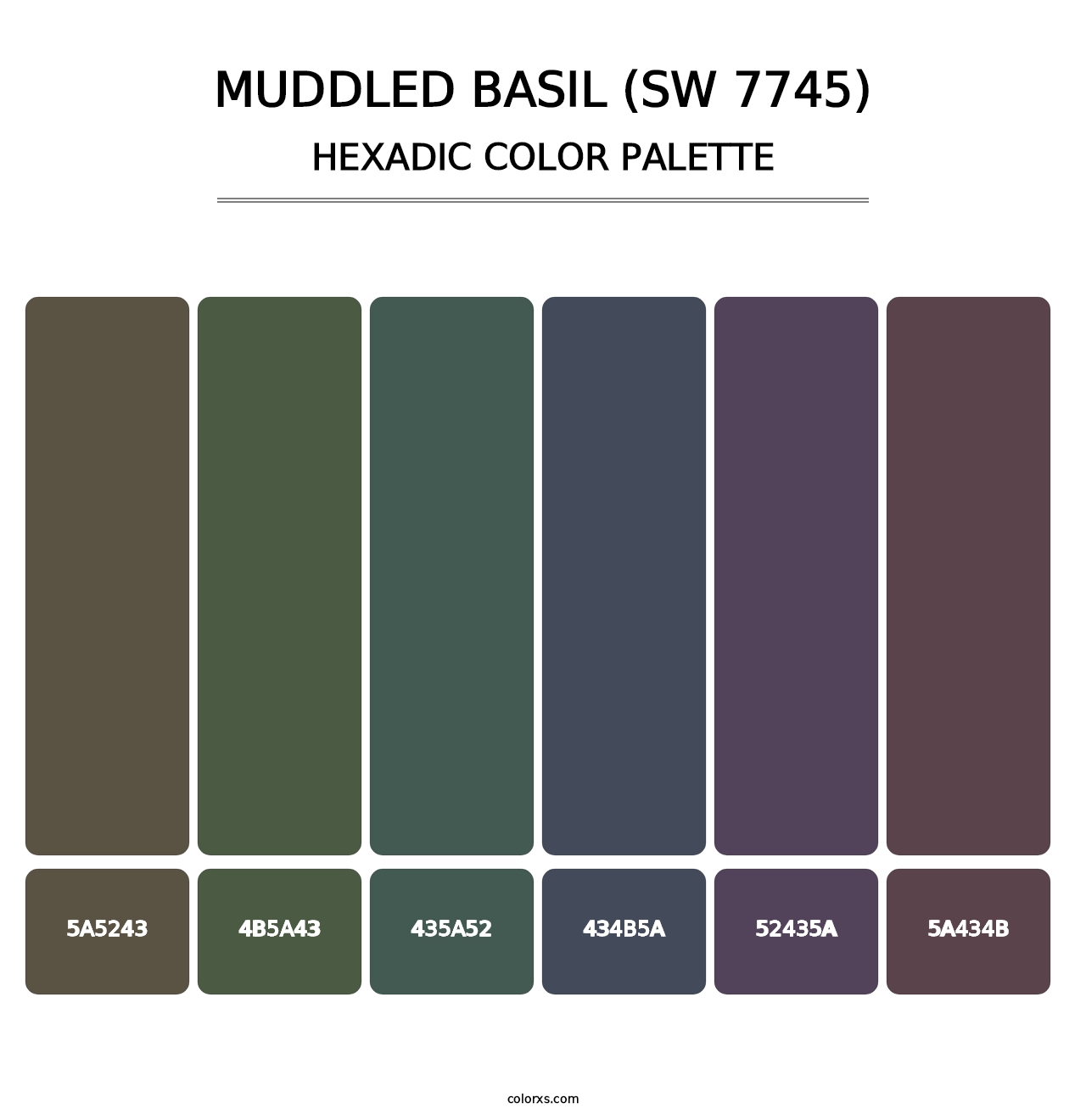 Muddled Basil (SW 7745) - Hexadic Color Palette
