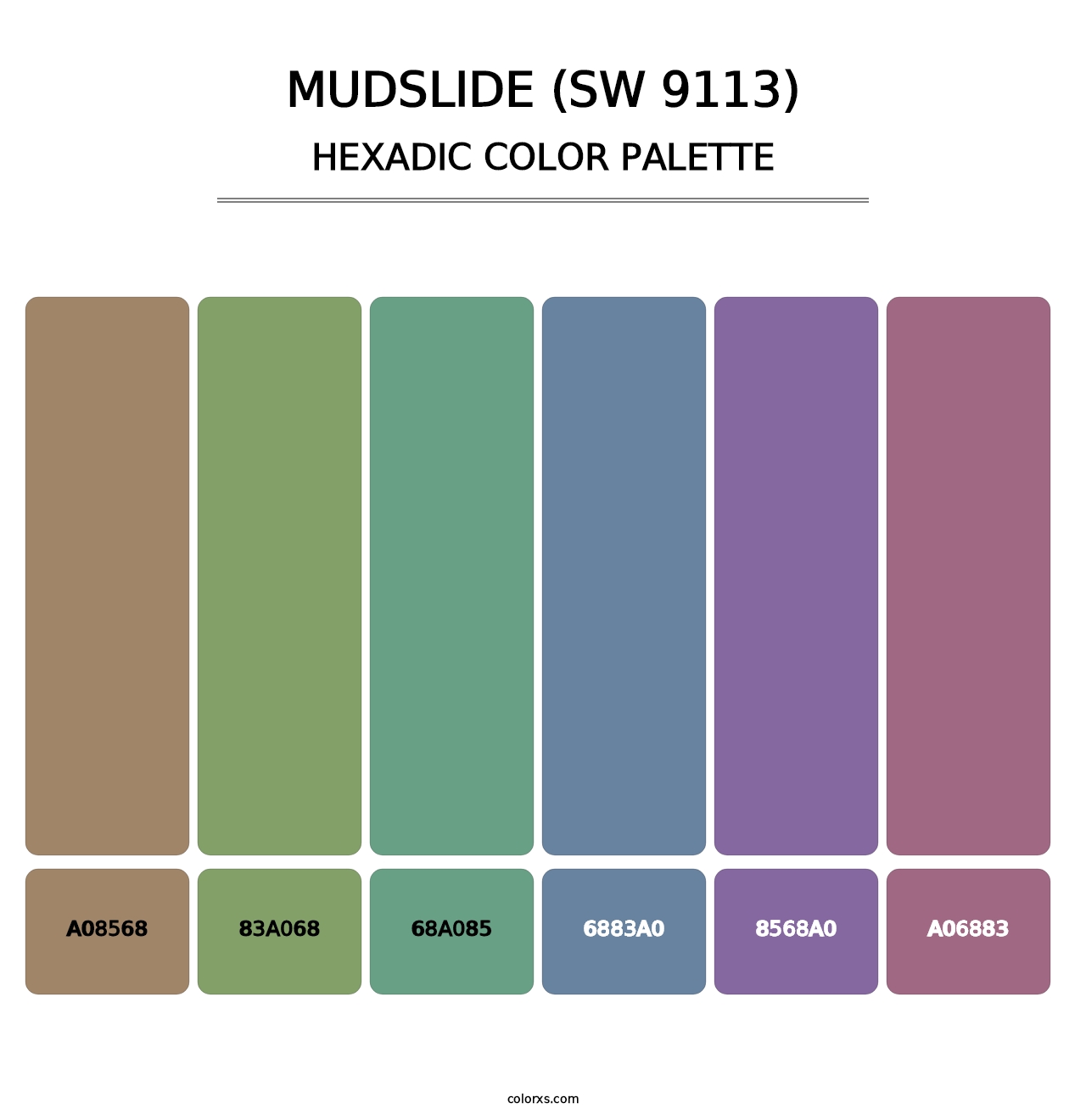 Mudslide (SW 9113) - Hexadic Color Palette