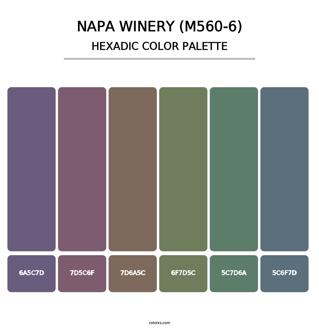 Napa Winery (M560-6) - Hexadic Color Palette