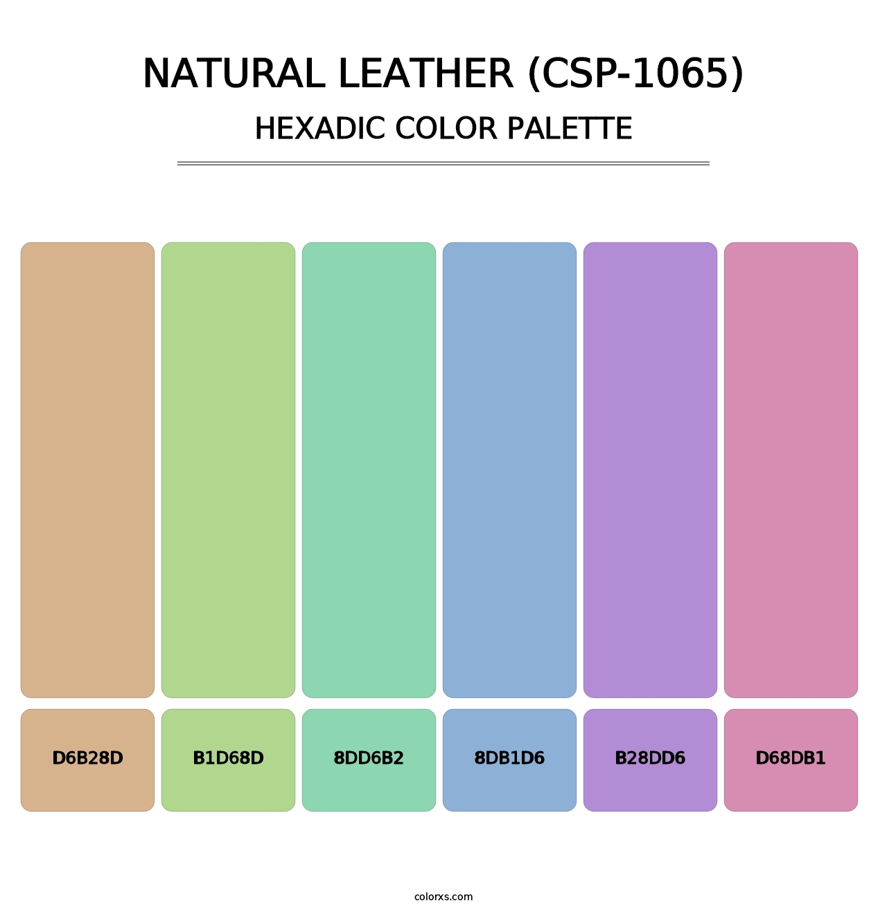Natural Leather (CSP-1065) - Hexadic Color Palette