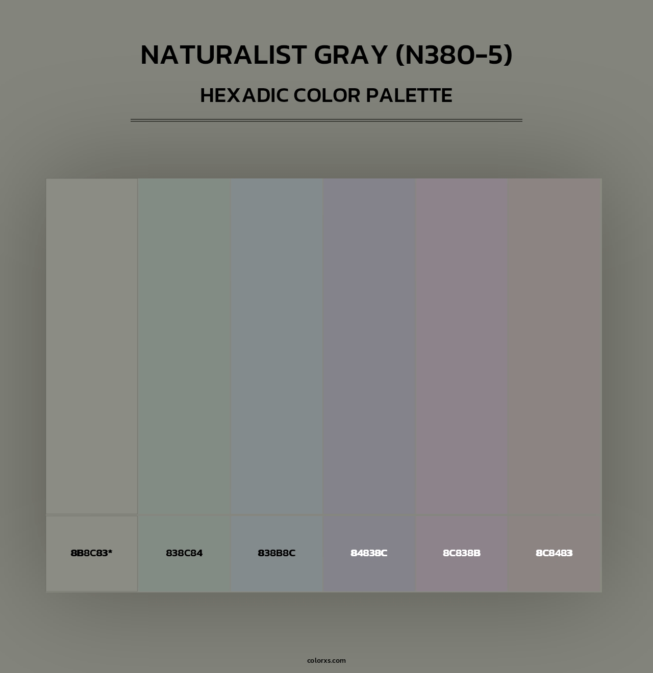 Naturalist Gray (N380-5) - Hexadic Color Palette