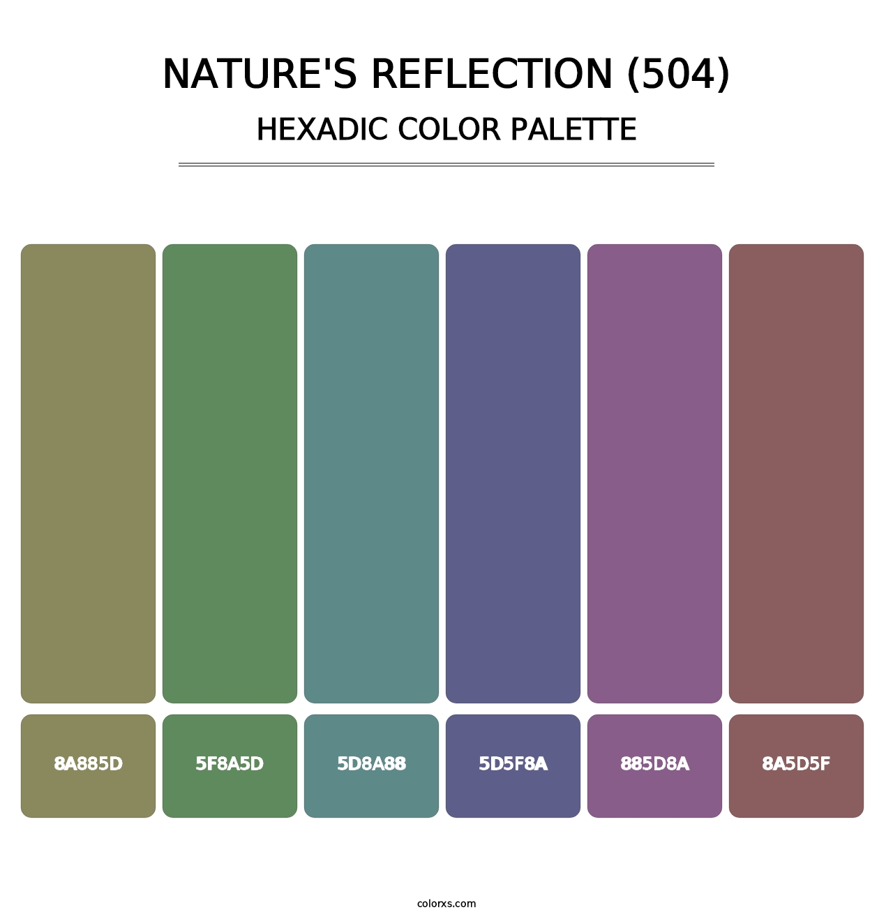 Nature's Reflection (504) - Hexadic Color Palette