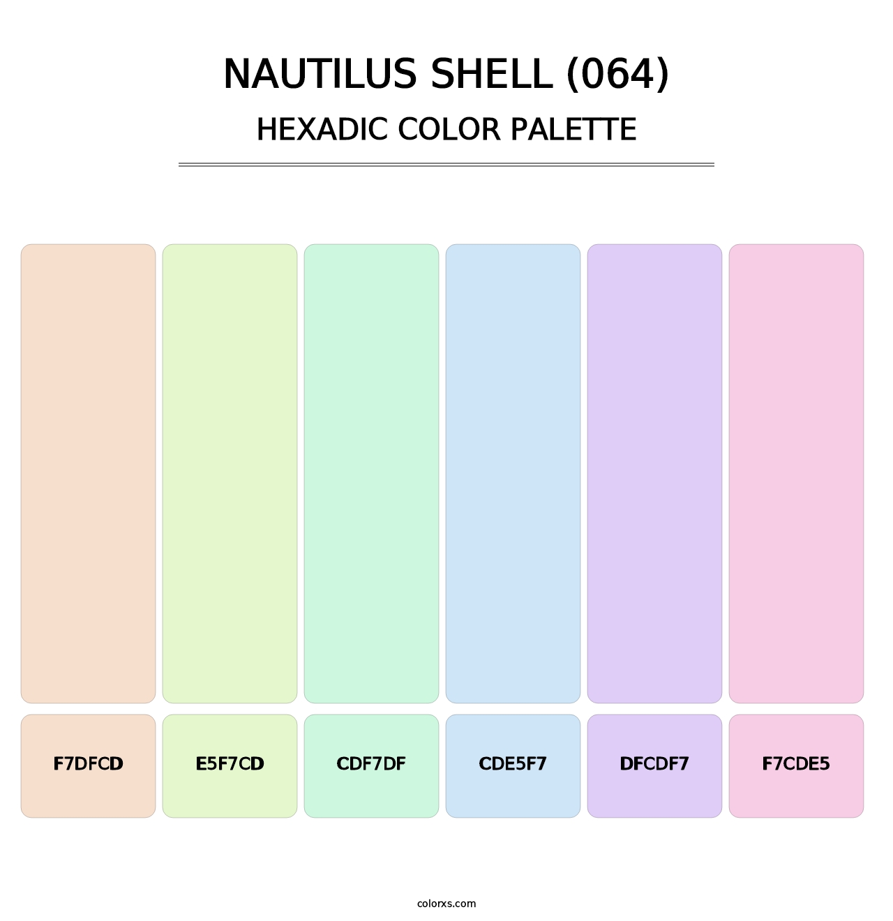 Nautilus Shell (064) - Hexadic Color Palette