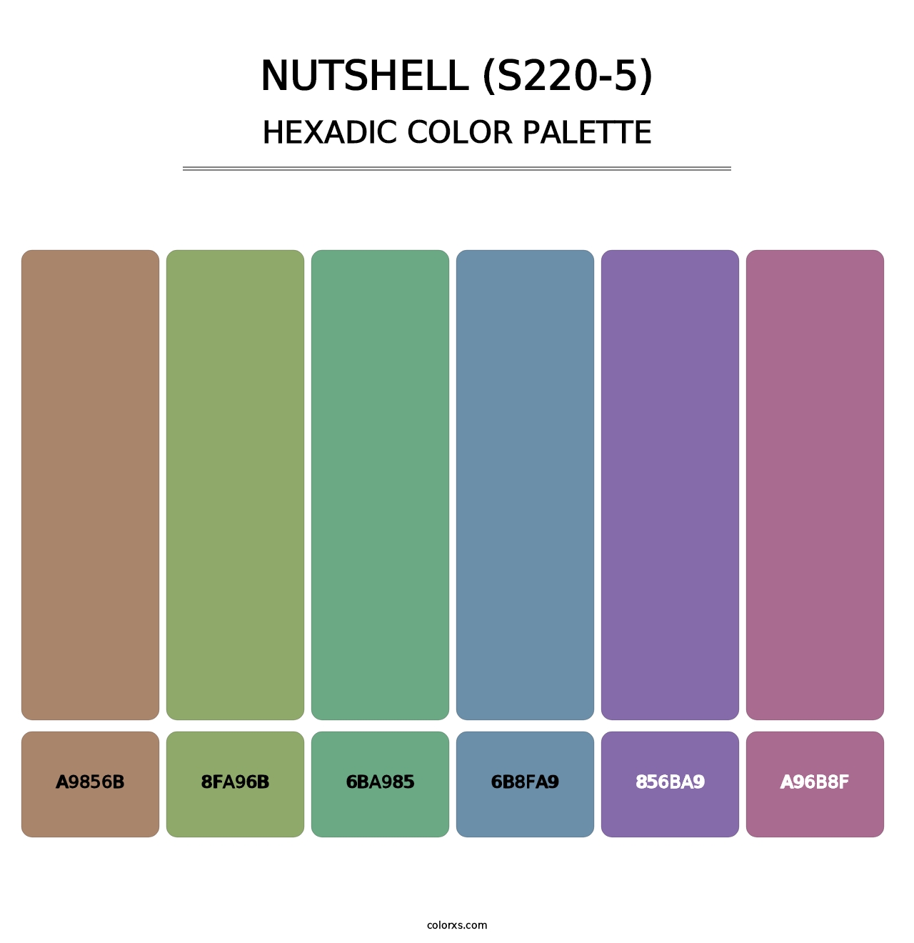 Nutshell (S220-5) - Hexadic Color Palette