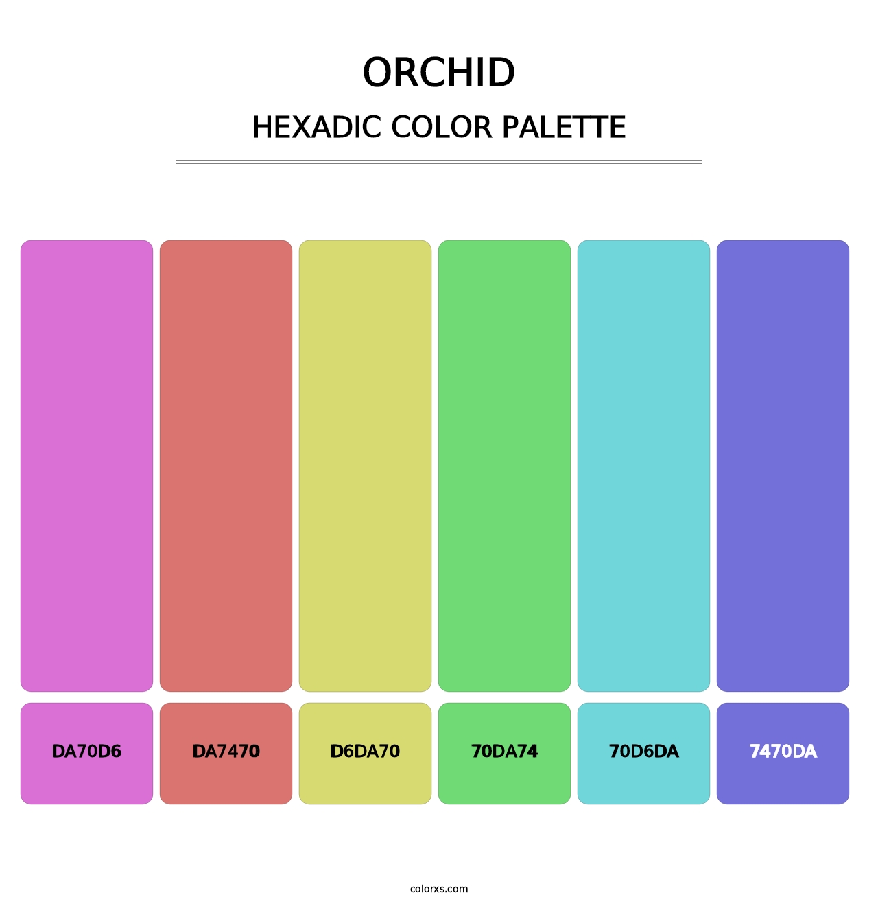 Orchid - Hexadic Color Palette