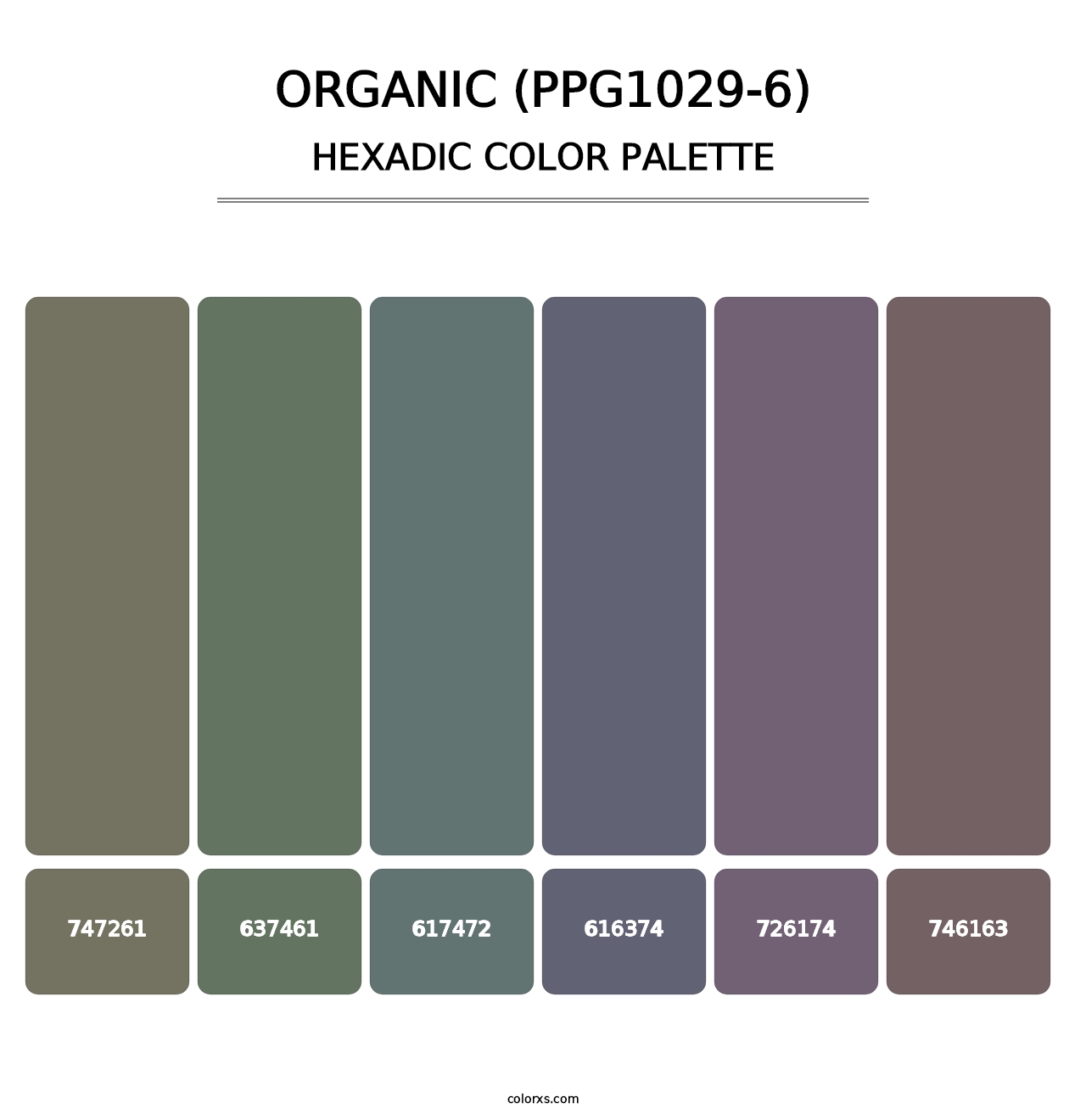 Organic (PPG1029-6) - Hexadic Color Palette