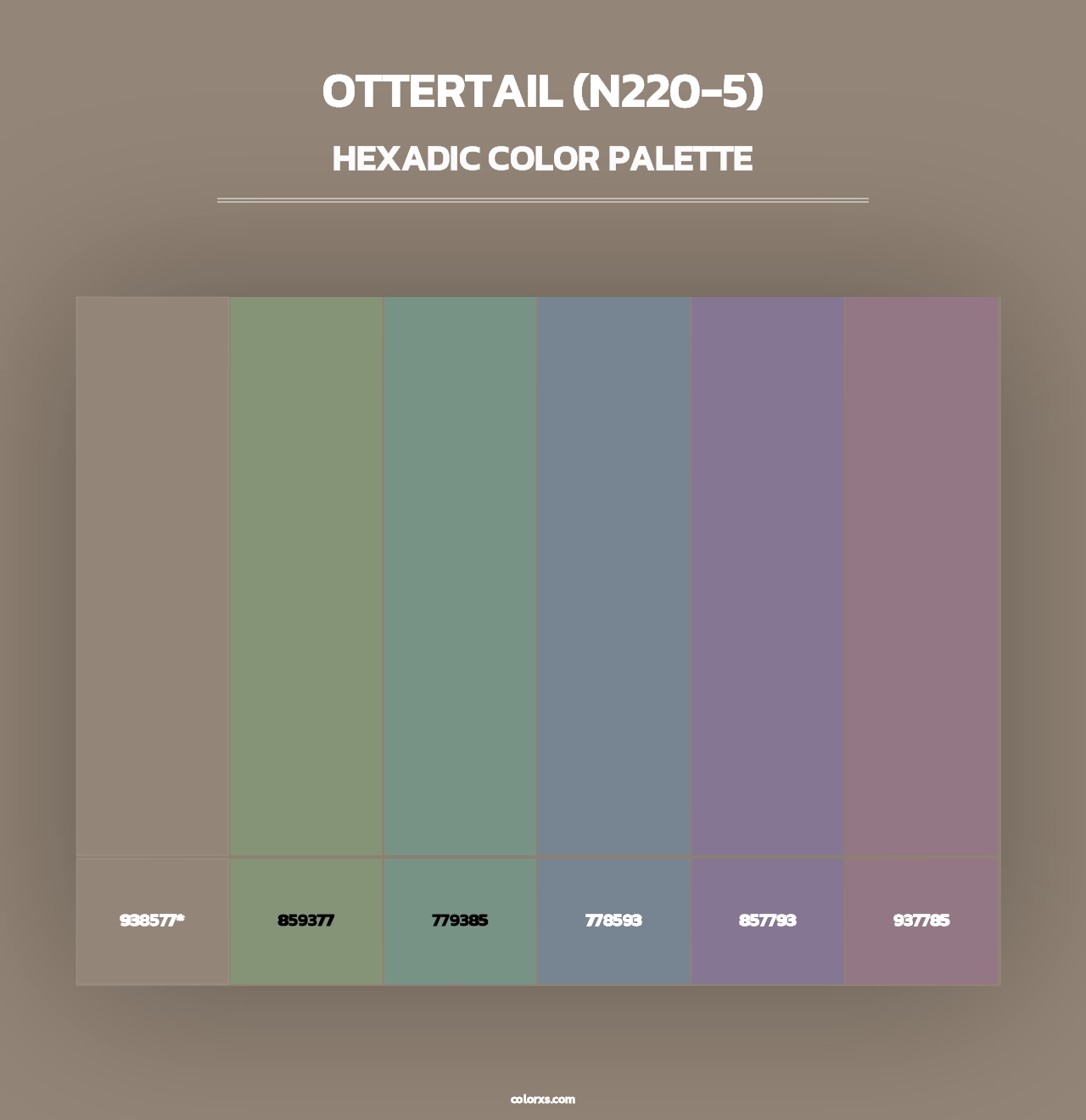Ottertail (N220-5) - Hexadic Color Palette