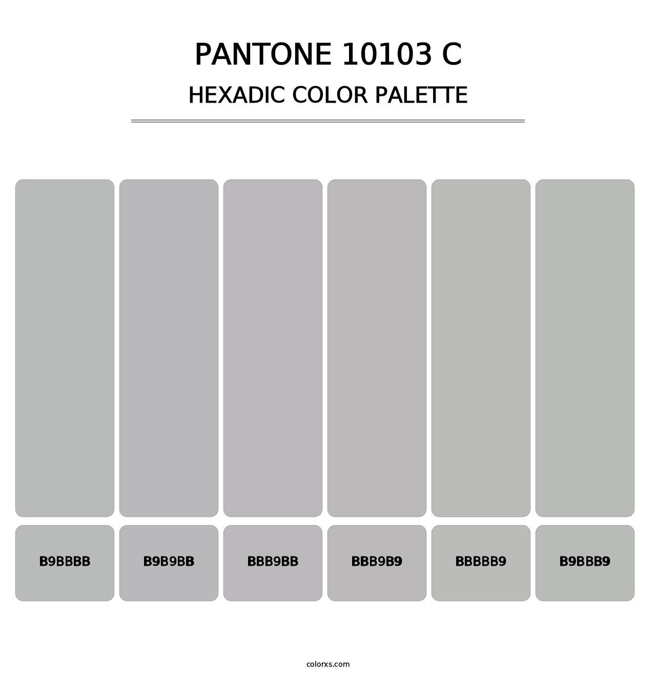 PANTONE 10103 C - Hexadic Color Palette