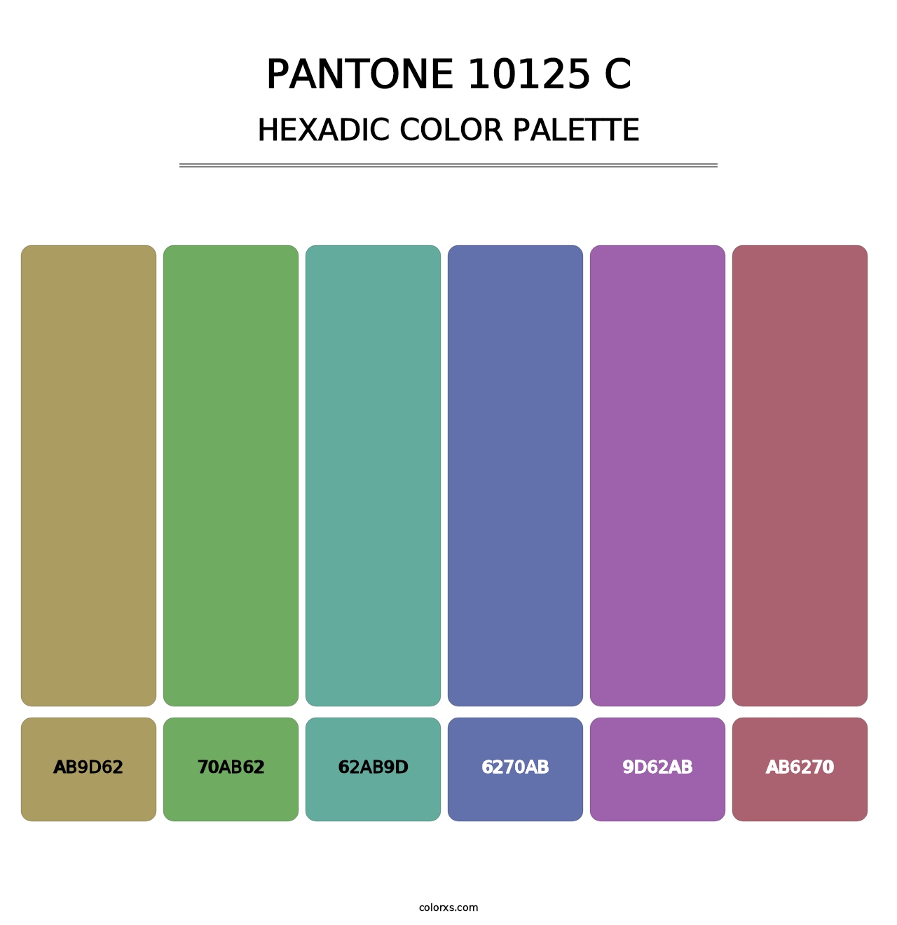 PANTONE 10125 C - Hexadic Color Palette